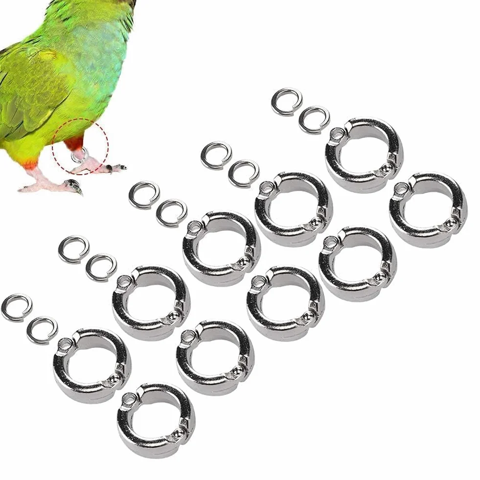 Anelli per Piedi per Uccelli in Metallo per Gambe di Pappagalli 10 Pezzi Clip di Apertura Accessori per Piccoli Uccelli