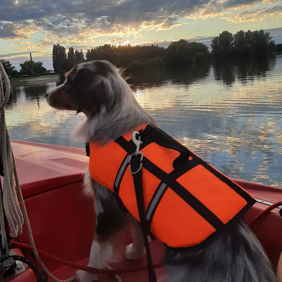 Nobby - Salvagente per cani