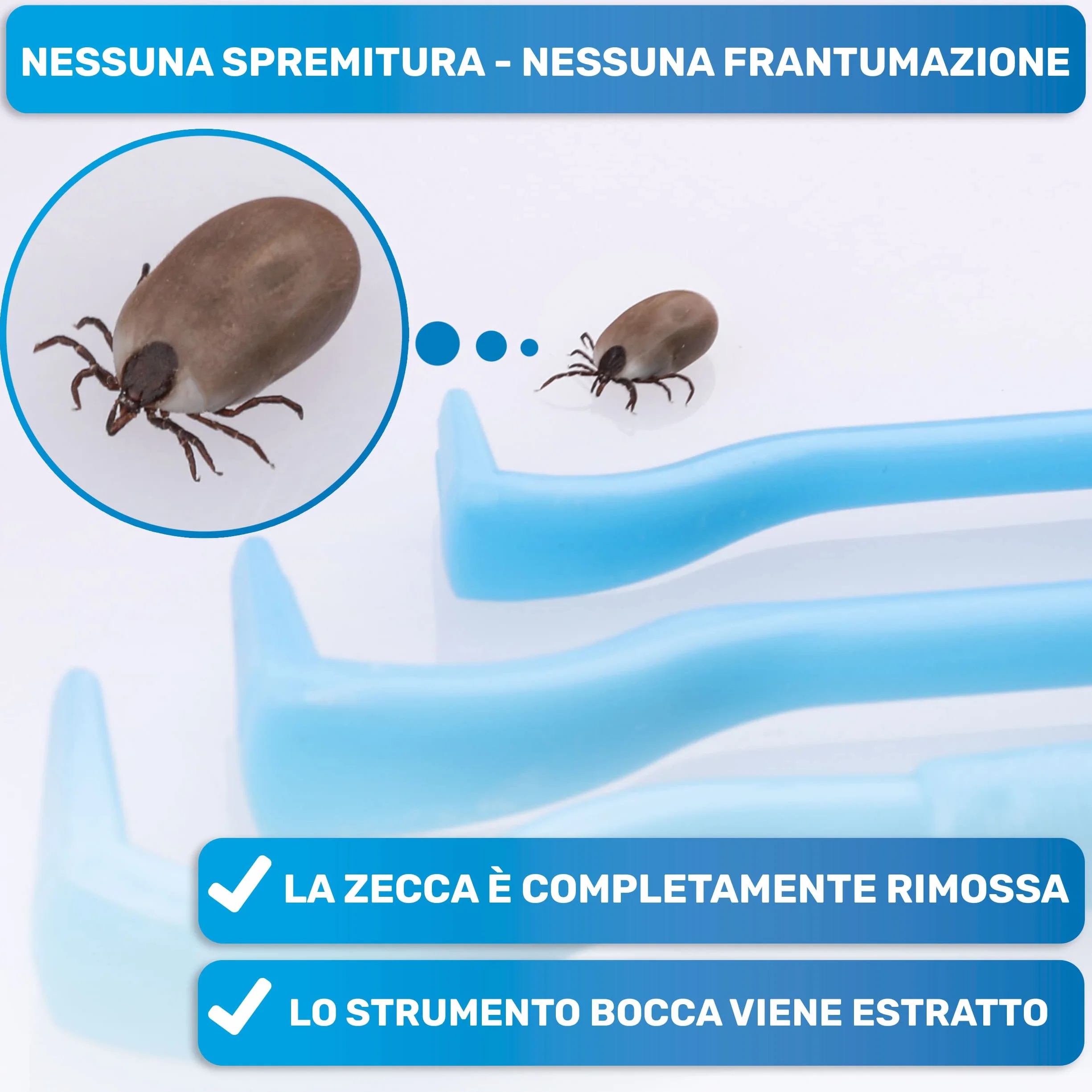 BluePet 3X Ganci per Zecche per Cani, Gatti, Cavalli e Umani - Rimuovi Zecche, Pinza per Zecche per Cane, Gatto, Uomo, Alternativa alle Pinzette per Zecche, Togliere Zecche e Tira Zecche