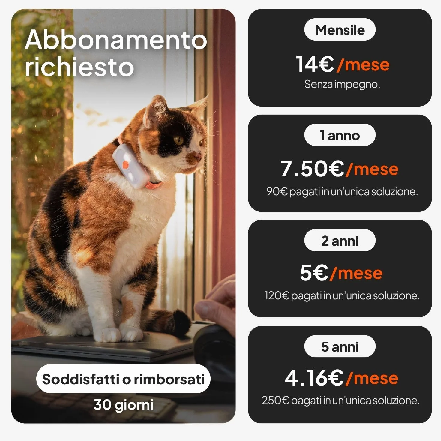 Weenect Cat XS - NUOVO collare GPS per gatti | Il più piccolo sul mercato | Funziona con abbonamento | Collare incluso | Garanzia a vita