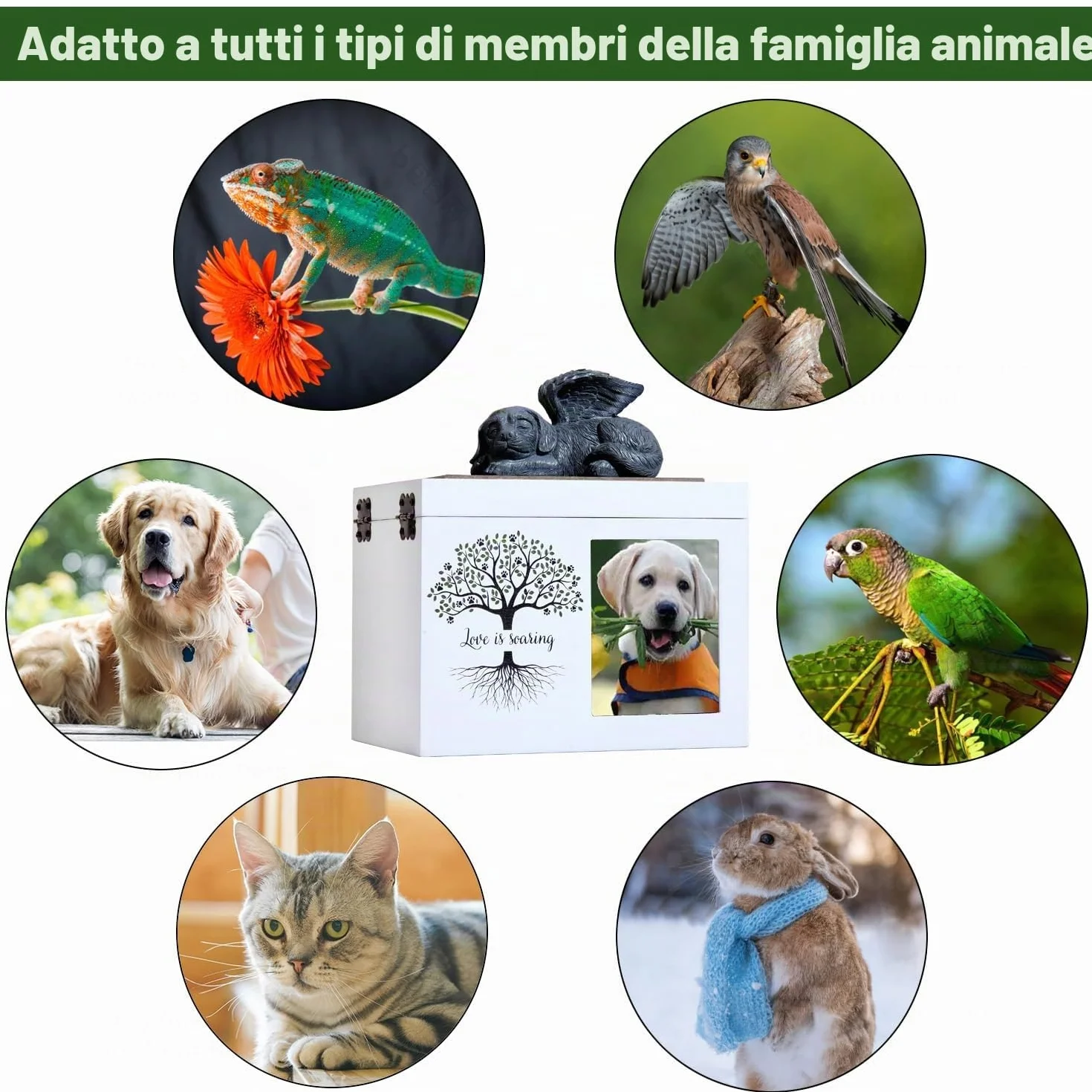 Urne Commemorative per Cani o Gatti, urna funebre in Legno con Cornice per Foto, Scatola commemorativa con Flanella Nera Come Fodera, Regalo commemorativo per Animali Domestici