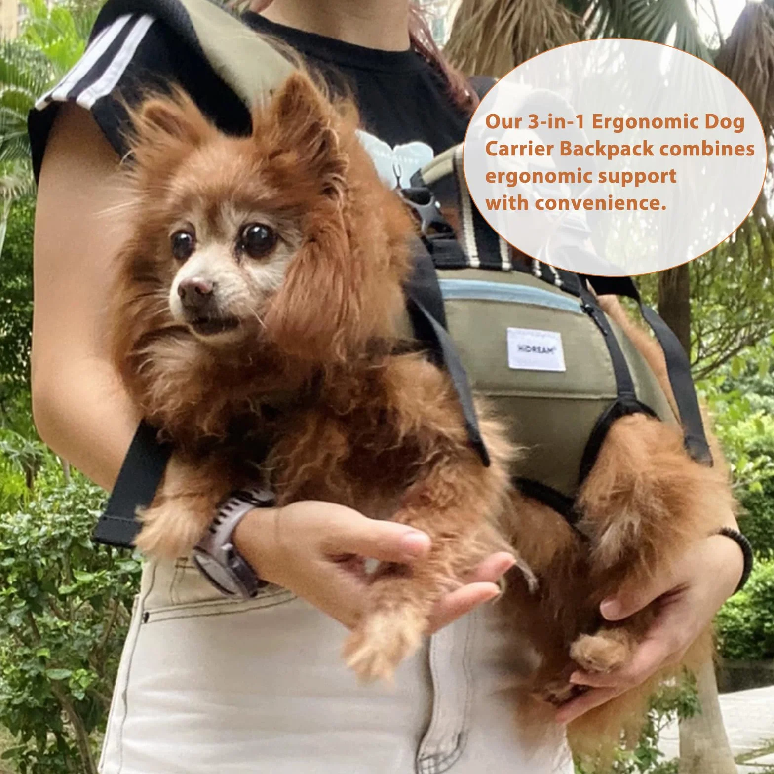 Zaino ergonomico per il trasporto del cane, con zampe orizzontali verso l'esterno anteriore e posteriore, borsa da trasporto a mani libere convertibile 3 in 1, fino a 15 kg (Verde, XL)
