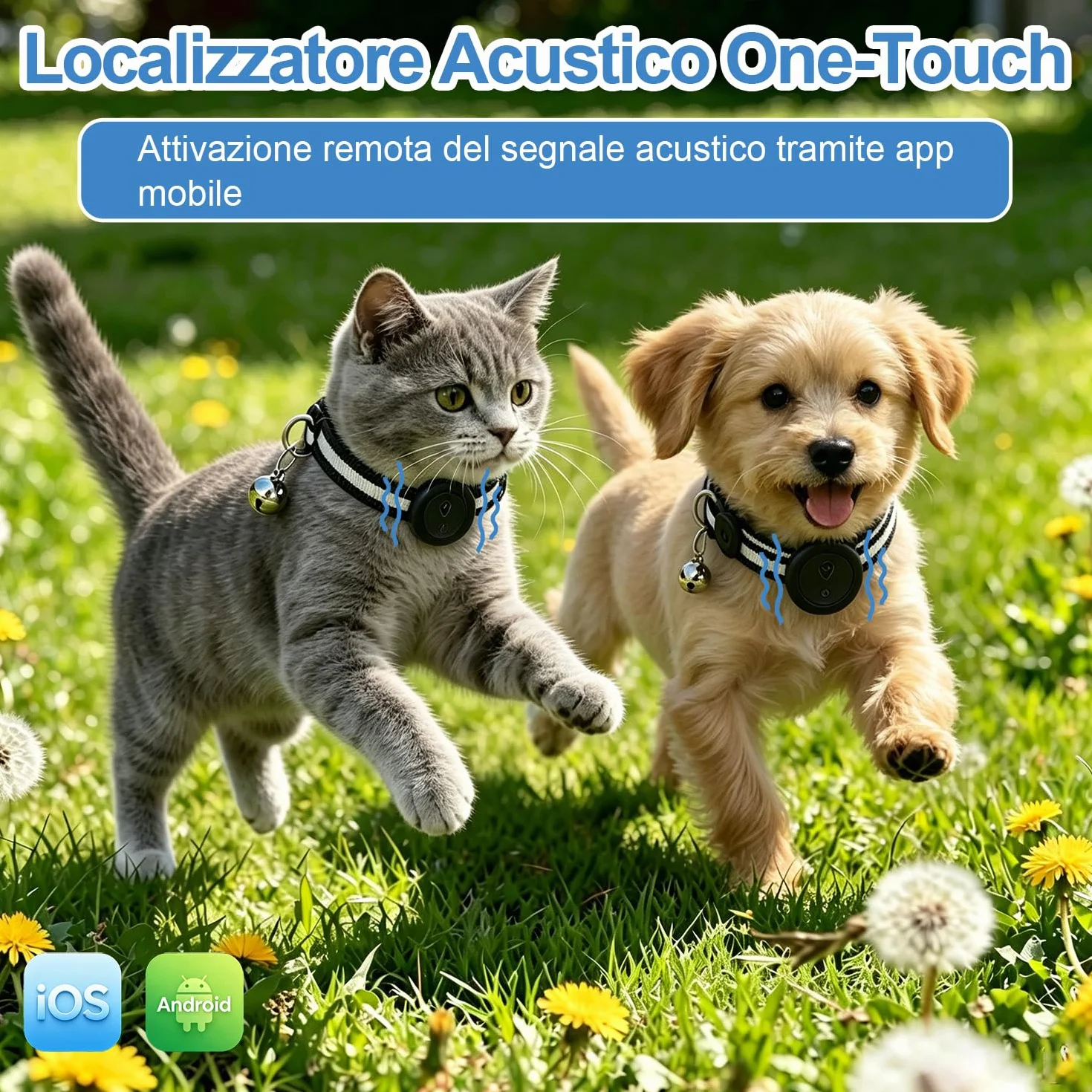 Collare GPS Gatto 2 in 1,Collare GPS per Cani Riflettente,Tracker per Cani Senza Abbonamento,Compatibile con iOS/Android,Collare Regolabile con Campanellino,Adatto a Cane di Piccola Taglia/Gatti-Nero