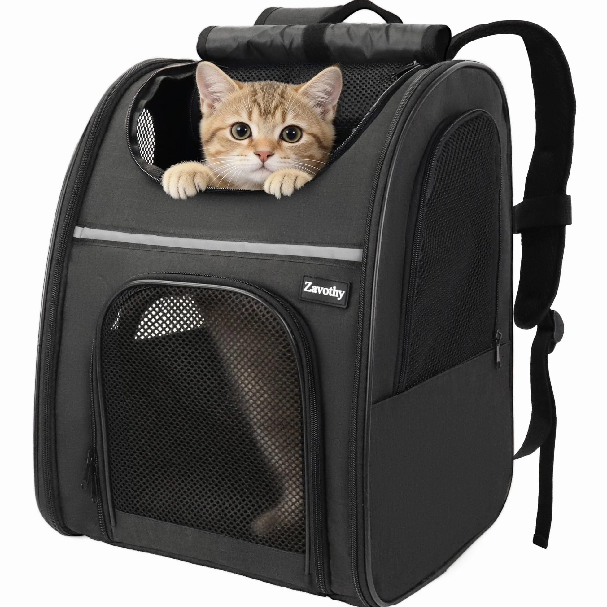 Zavothy Zaino per Cani e Gatti, Zainetto Trasportino Portatile e Pieghevole, con Finestra a Rete e Supporto Imbottito per la Schiena, Traspirante, Carico Massimo 8kg (Nero)