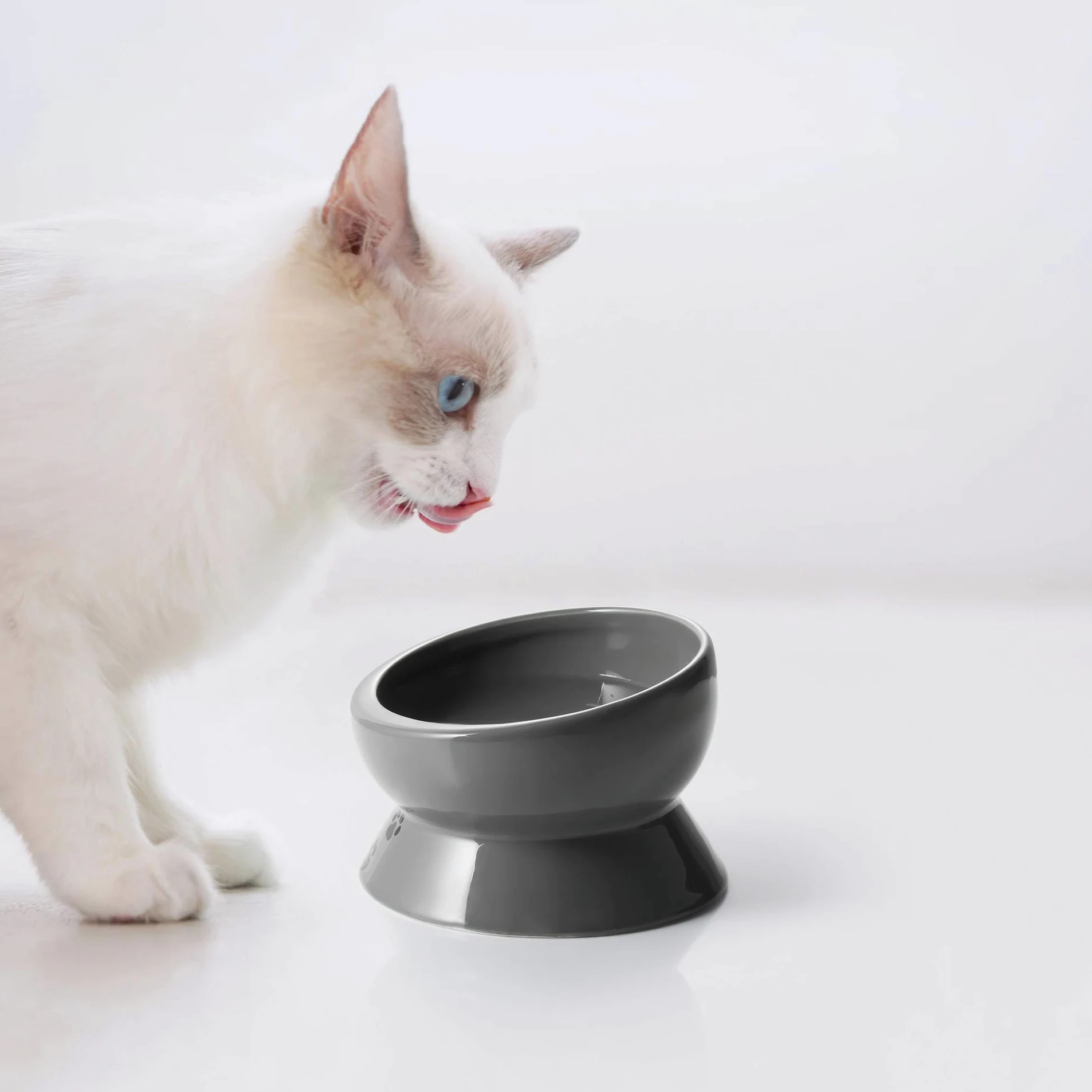 Y YHY Ciotola per Gatti Rialzata, Ciotola per Cibo e Acqua per Animali Domestici, Ciotola per Gatti e Cani di Piccola, Ciotola per Acqua per Gatti in Ceramica Inclinata Senza Fuoriuscite,15 Once