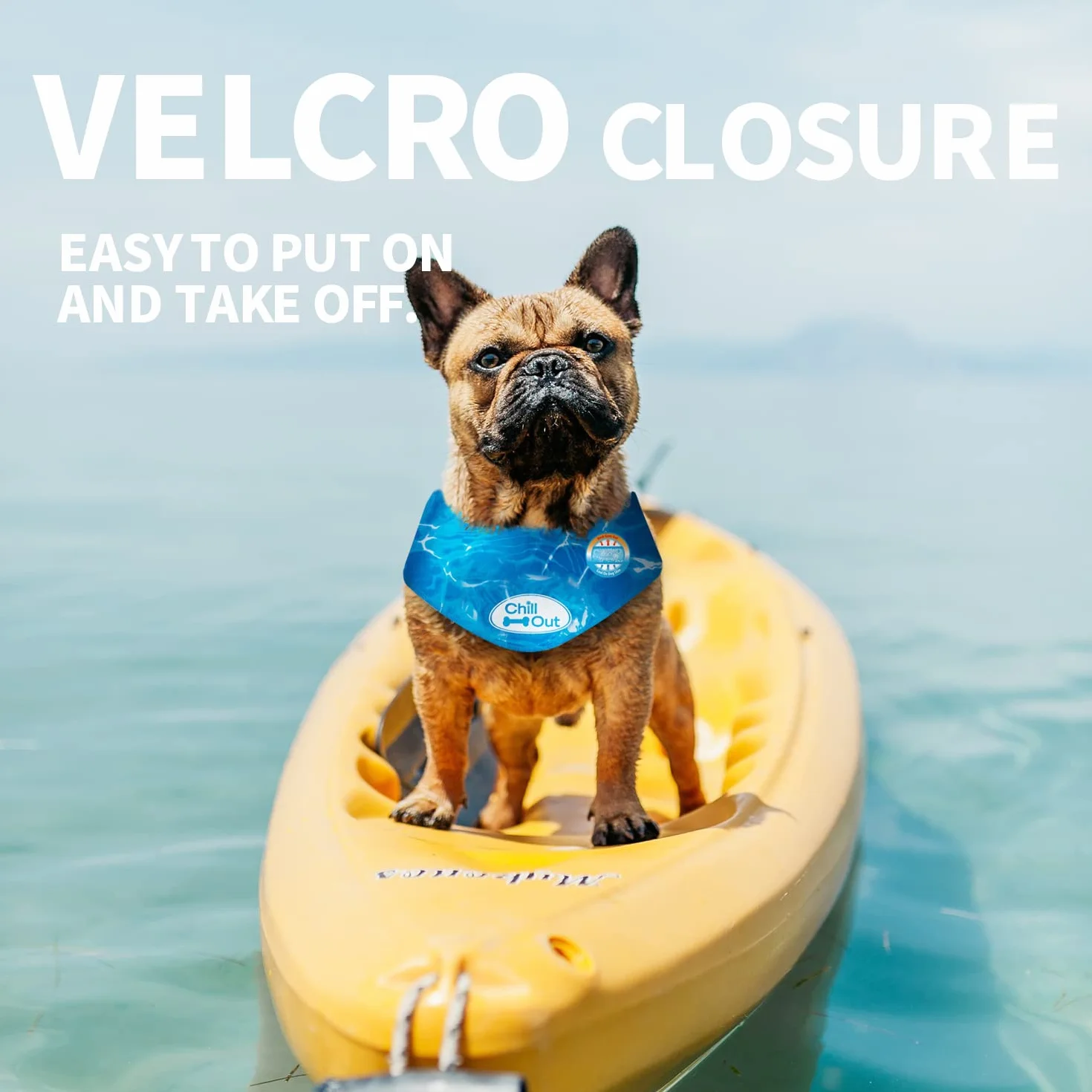 All for Paws bandana "Chill Out" dla psa