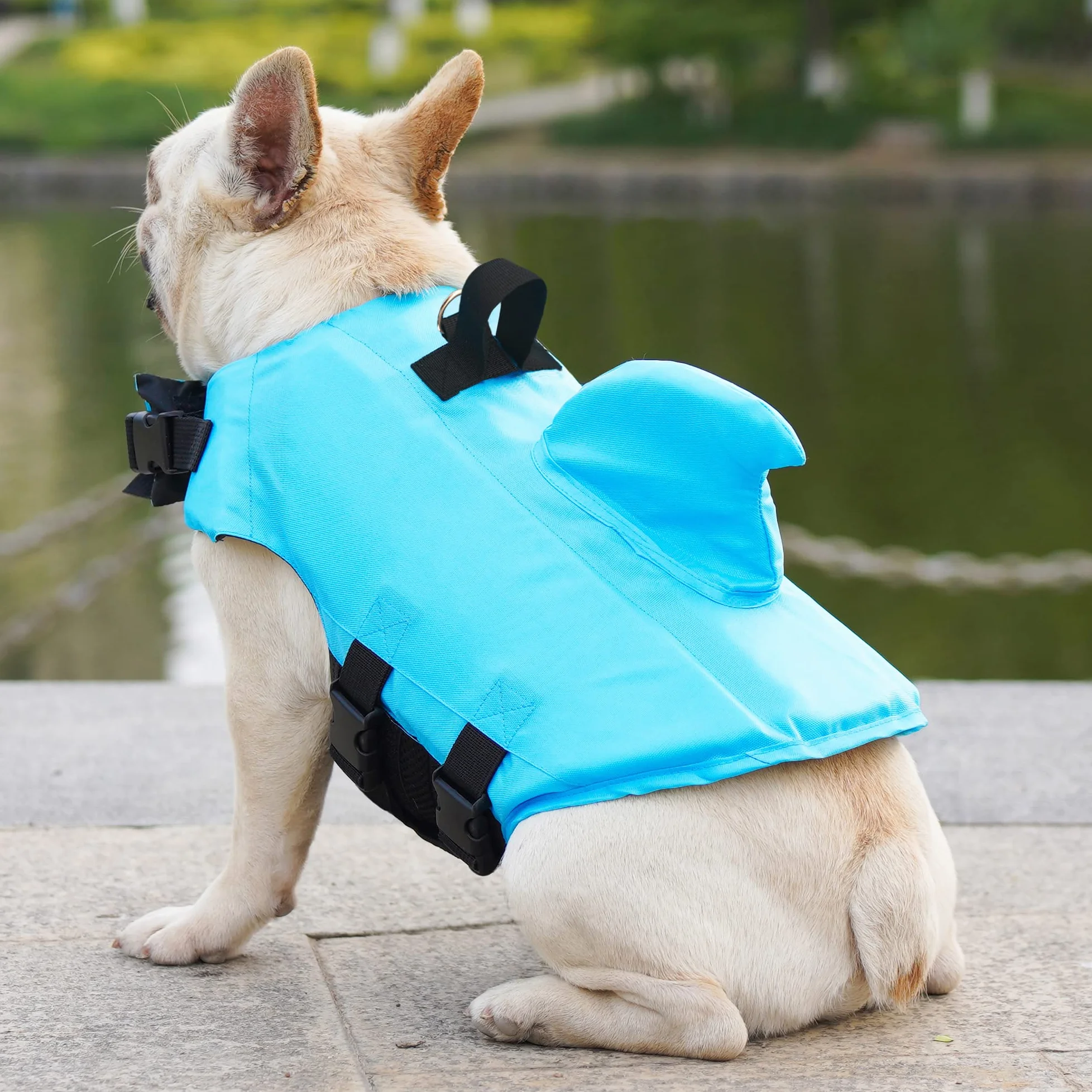 Giubbotto Salvagente Cane Squalo Galleggiante per Cani Piccola Media Taglia Piscina Mare (M, Blu)
