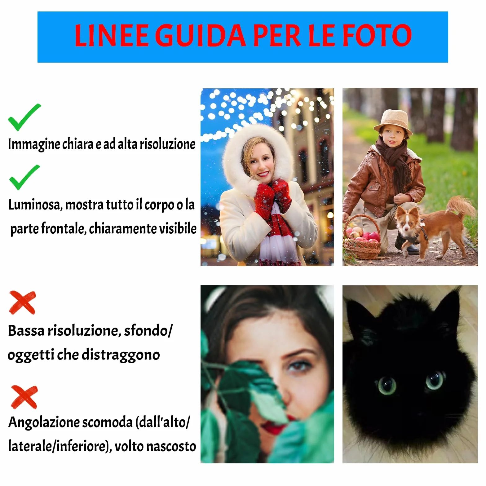 Targa commemorativa personalizzata in ardesia per animali domestici, lapide con foto e supporto 10x14 cm