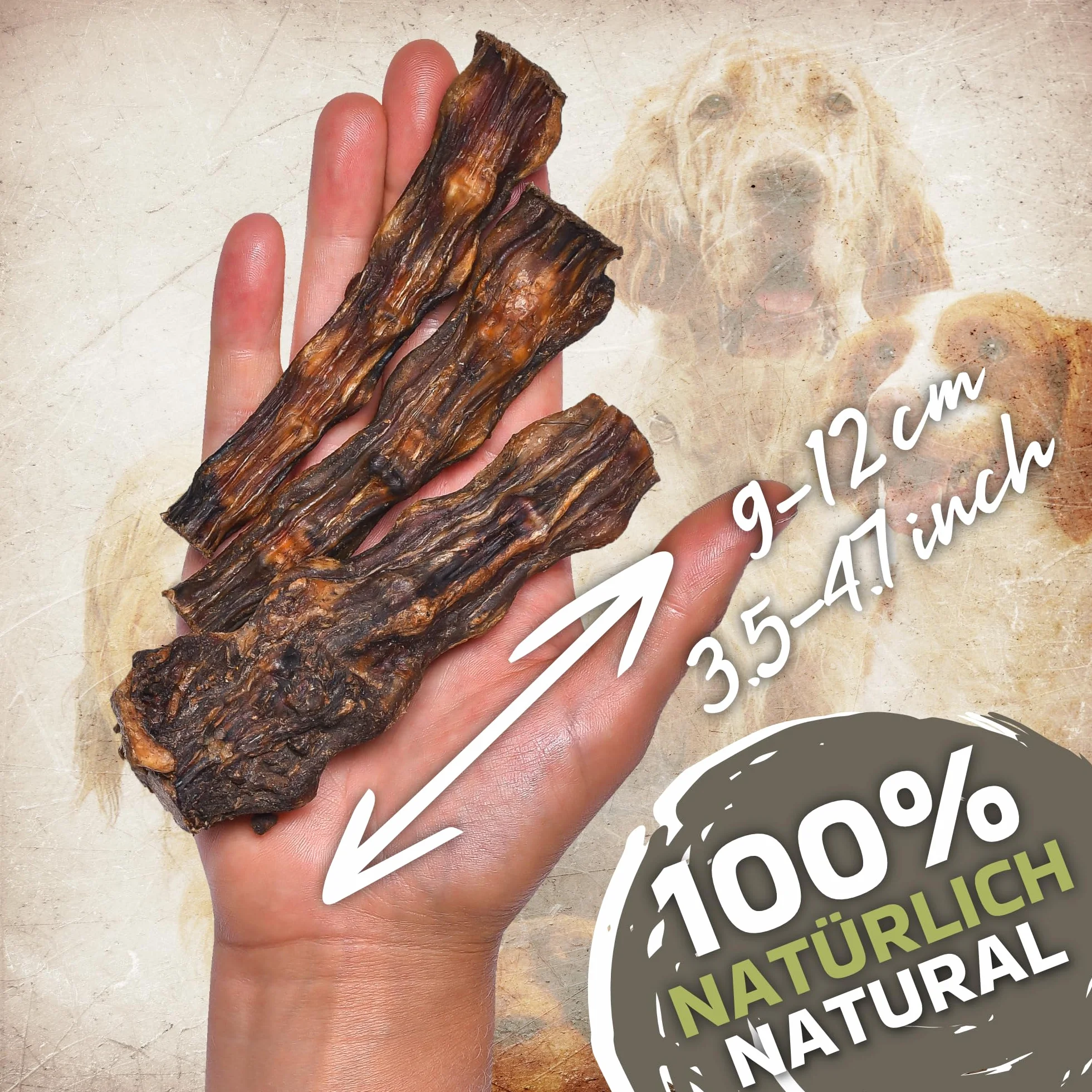 Coda di manzo di alta qualità (1 kg) | 100% pura carne bovina, naturale e senza additivi, ricche di proteine per cani, massaggiagengive naturali per la cura dei denti, fresche e di alta qualità
