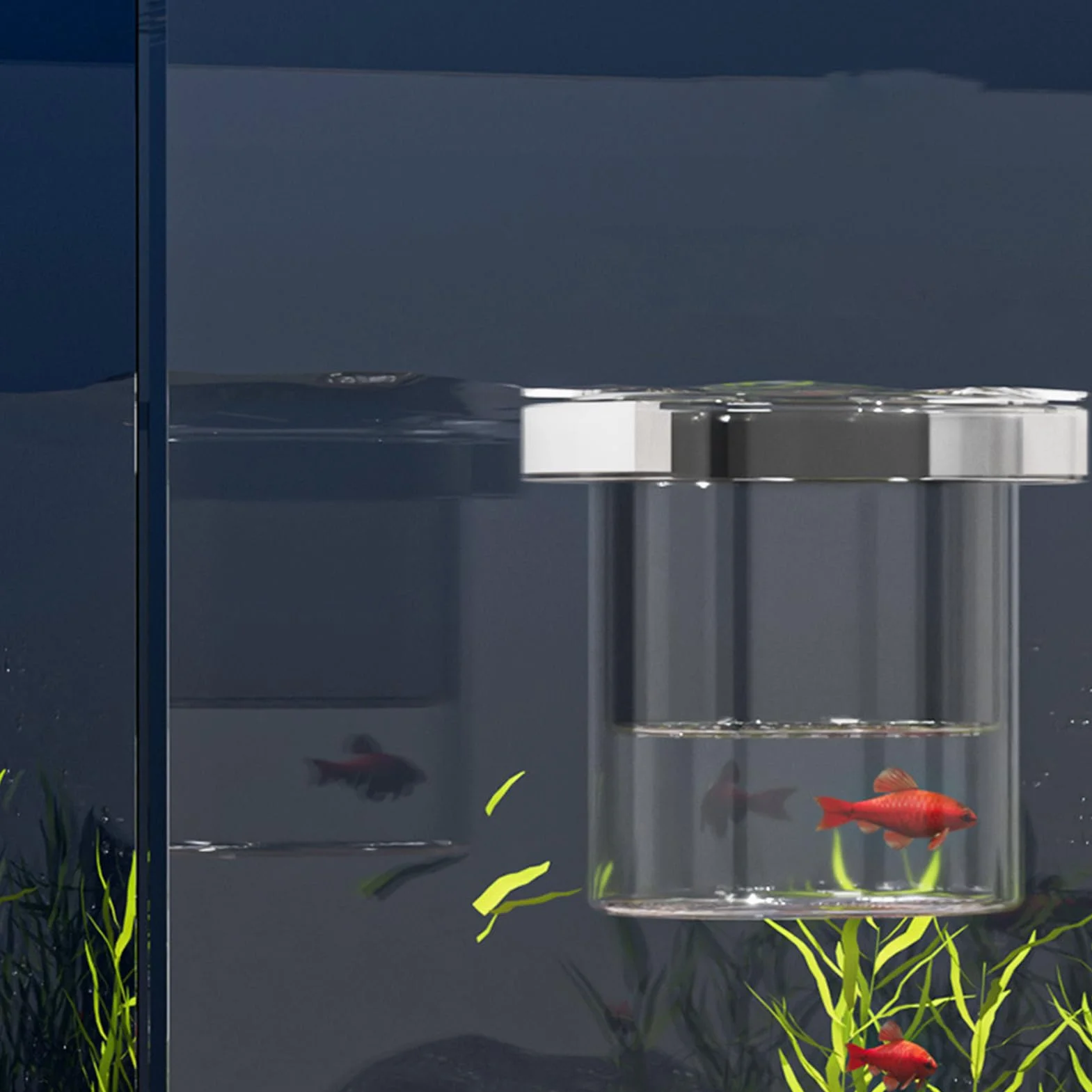 Scatola per allevamento di pesci per acquario, separatore di pesci per acquario, divisore sicuro per vivaio di acclimatazione Guppy gamberetti Betta Fry Hatchery