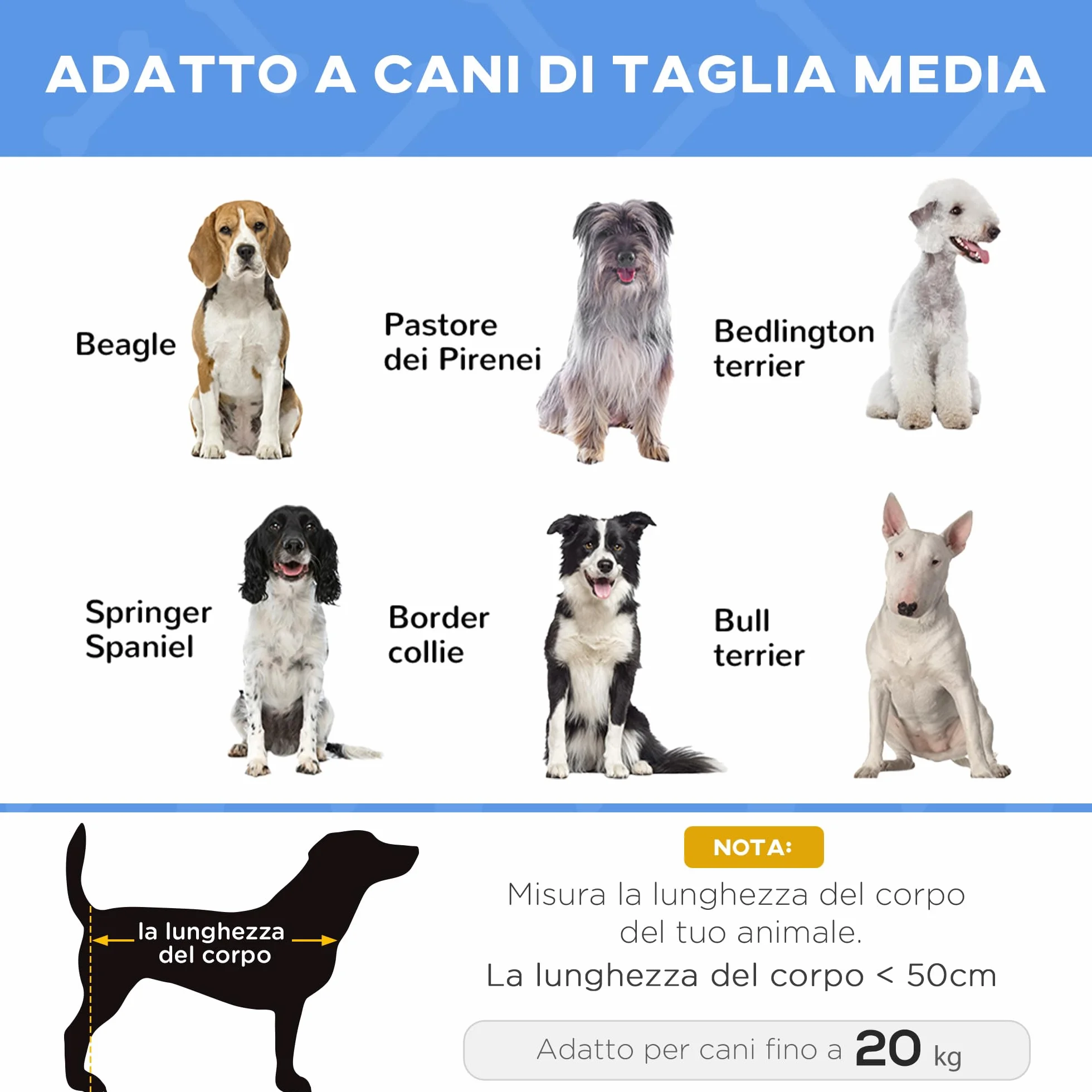PawHut Brandina per Cani Taglia Media Pieghevole, Lettino Rialzato in Metallo e Tessuto Oxford, 76x61x18 cm, Blu