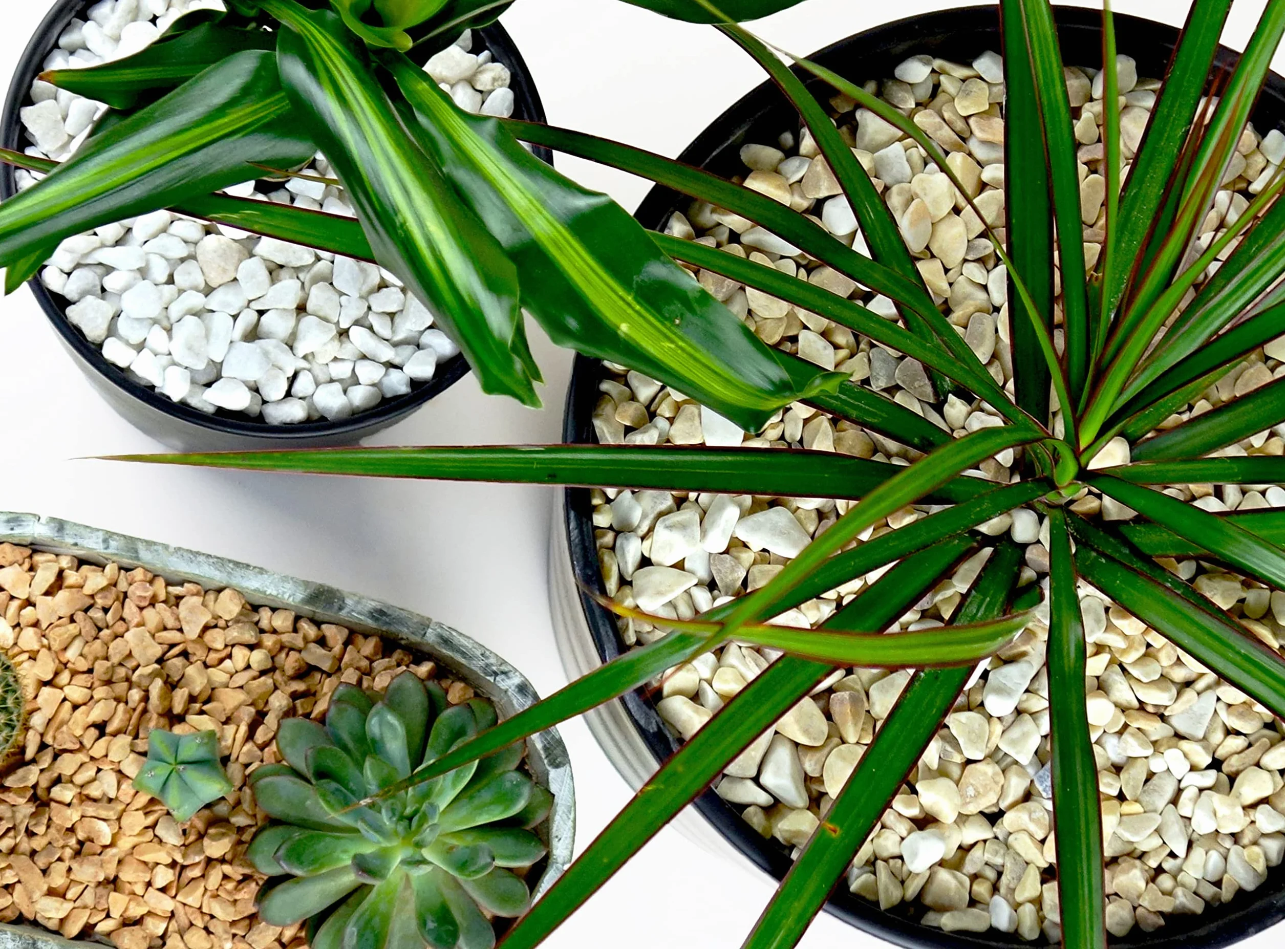 Ghiaia Bianco 1,8kg Sassolini Decorativi per Vasi Acquario Giardino 12-18 mm