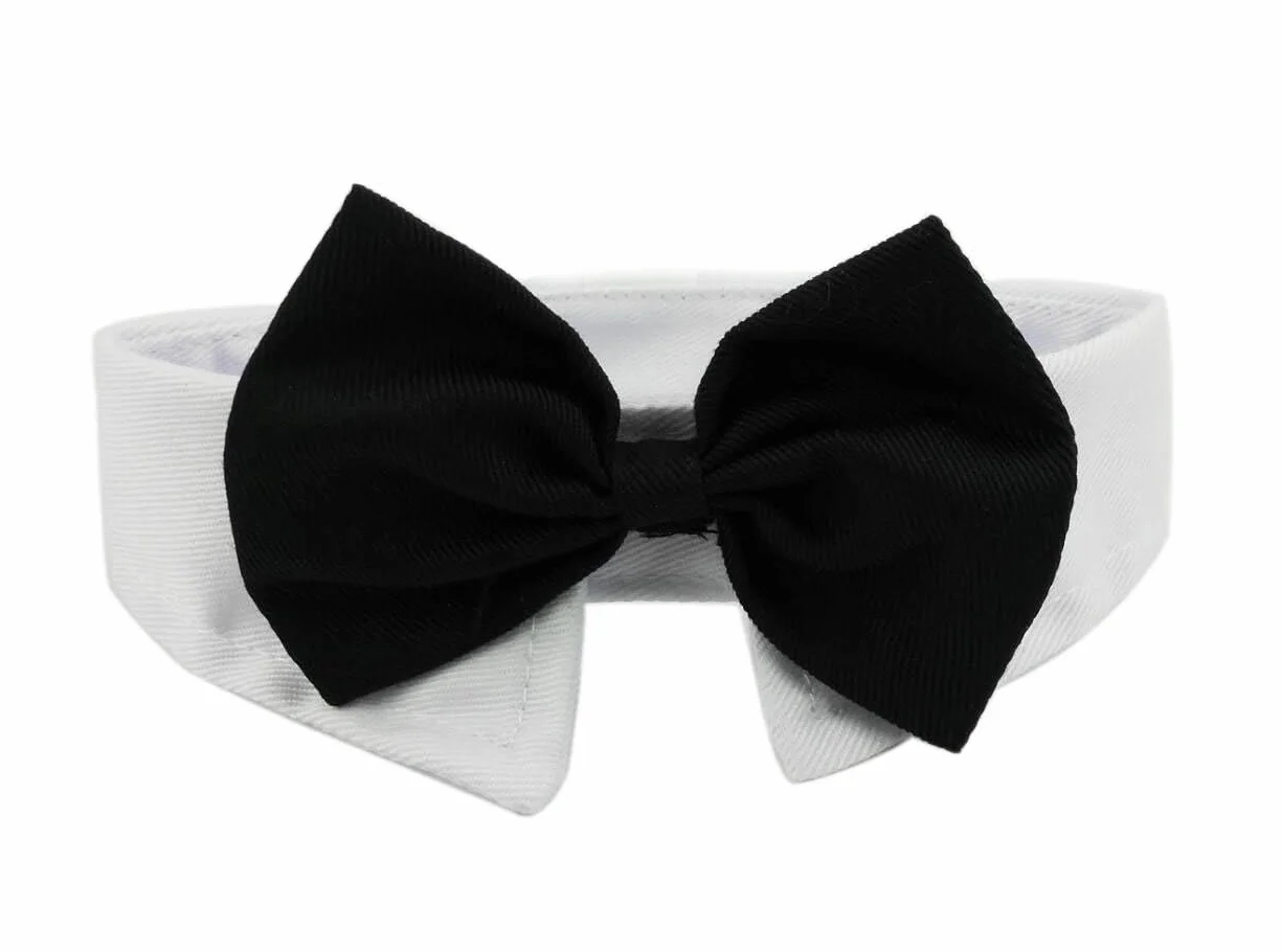 Cravatta Formale per Cane Gatto in Cotone Regolabile Papillon Bowknot per Nozze