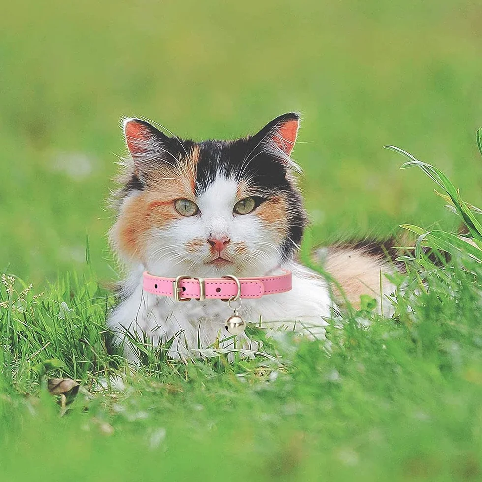 5 Pezzi Collare per Gatto in Pelle,Regolabile Collare Animali Domestici con Campana,Fibbia di Sgancio di Sicurezza Collare per Gatti Animaletti Picoli Cani