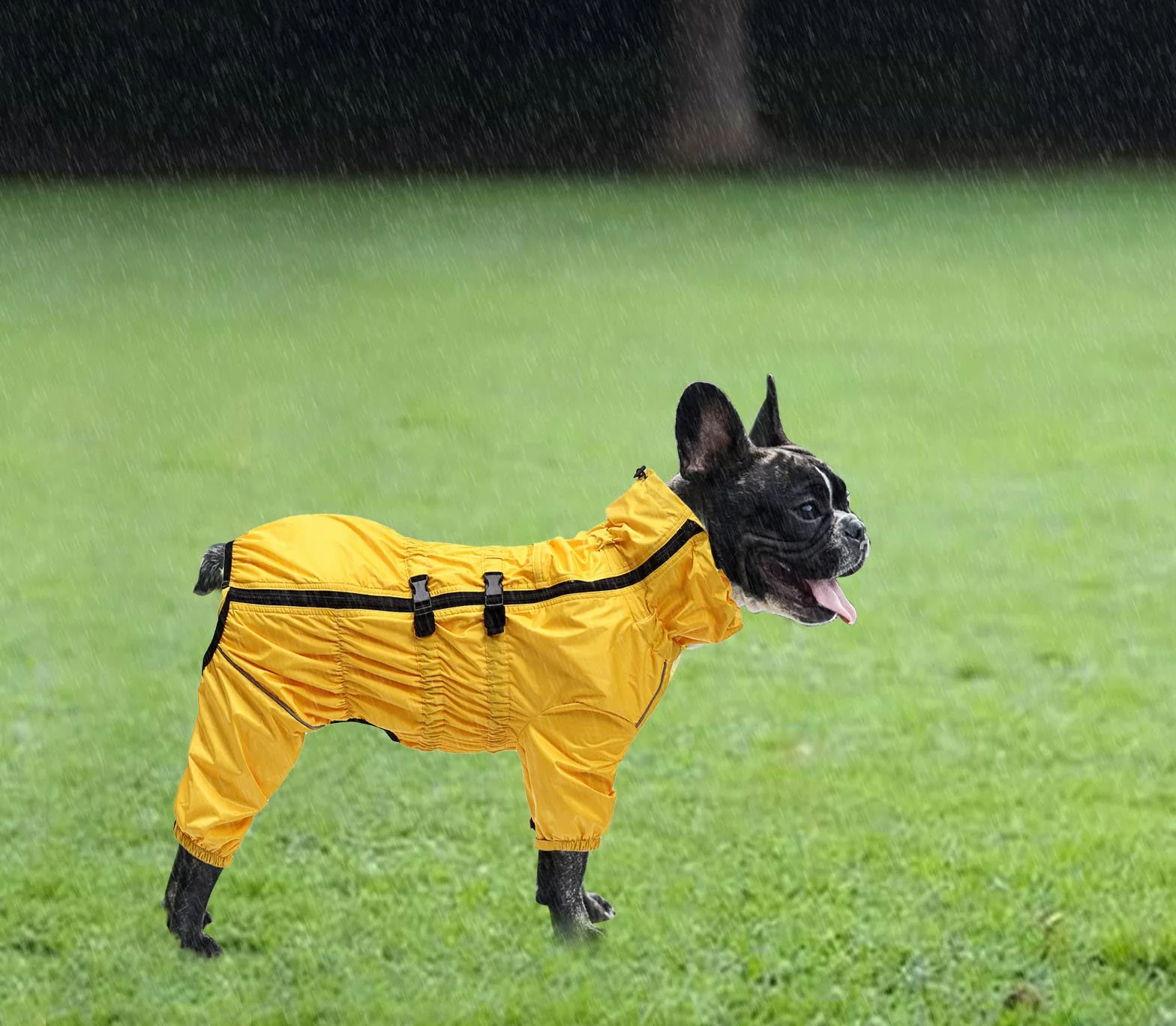 Geyecete - 1/2 zampe pantaloni tuta impermeabile per cani, 4 gambe riflettente pioggia impermeabile Gear per cani, Con cerniera e fibbia, per cuccioli piccolo e medio-Giallo-XXXL