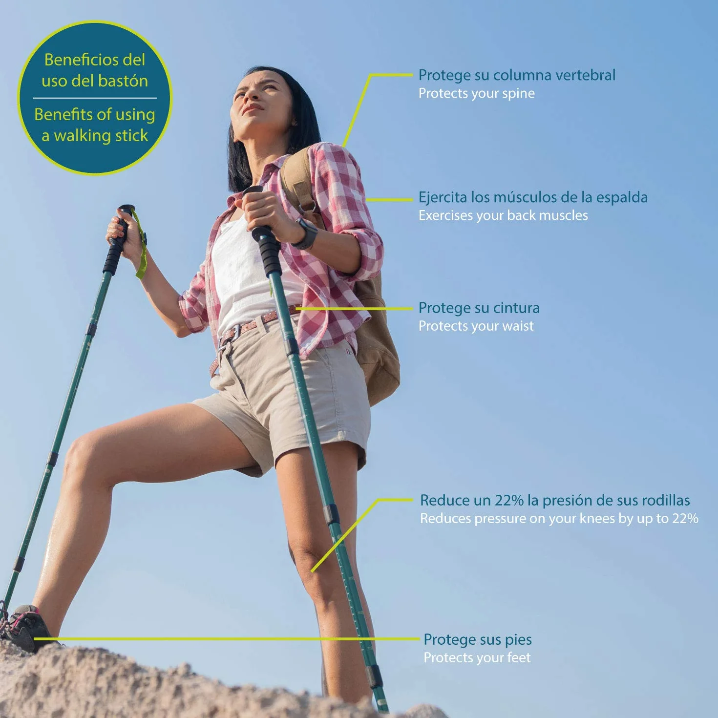 Bastoni da Trekking Estensibili Daikoku 65-135cm in Alluminio Leggeri e Resistenti con 6 Punte