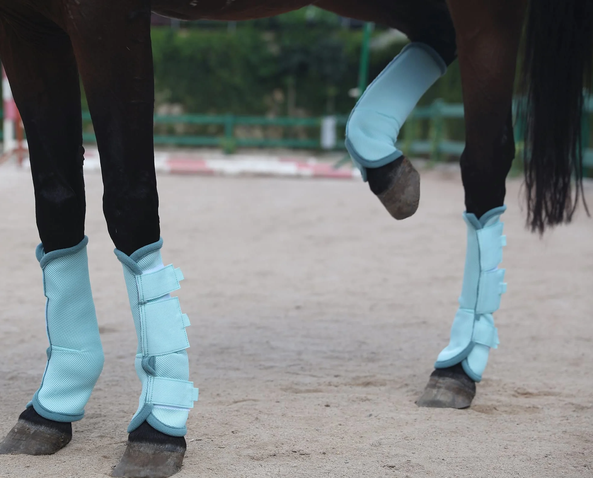 LEAFOREST Stivaletti da mosca per cavalli, perfetti per avvolgere le gambe equine e massima protezione contro le mosche del cavallo, set di 4 (blu, pony)