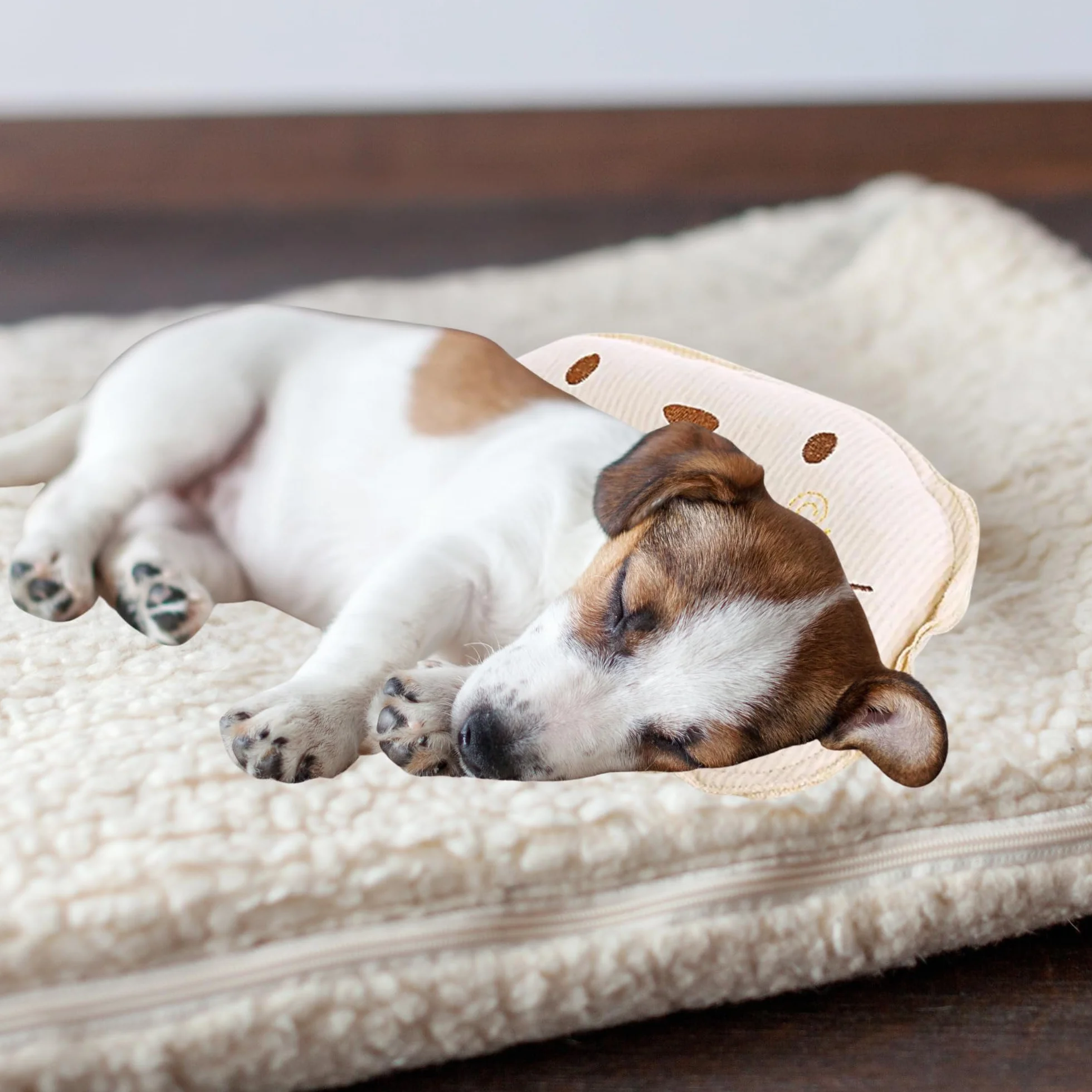 Piccolo cuscino per gatti e cani, giocattolo – morbido cuscino per animali domestici – morbido, soffice e confortevole, ideale per trasportino, divano, cesto e riposo quotidiano interno