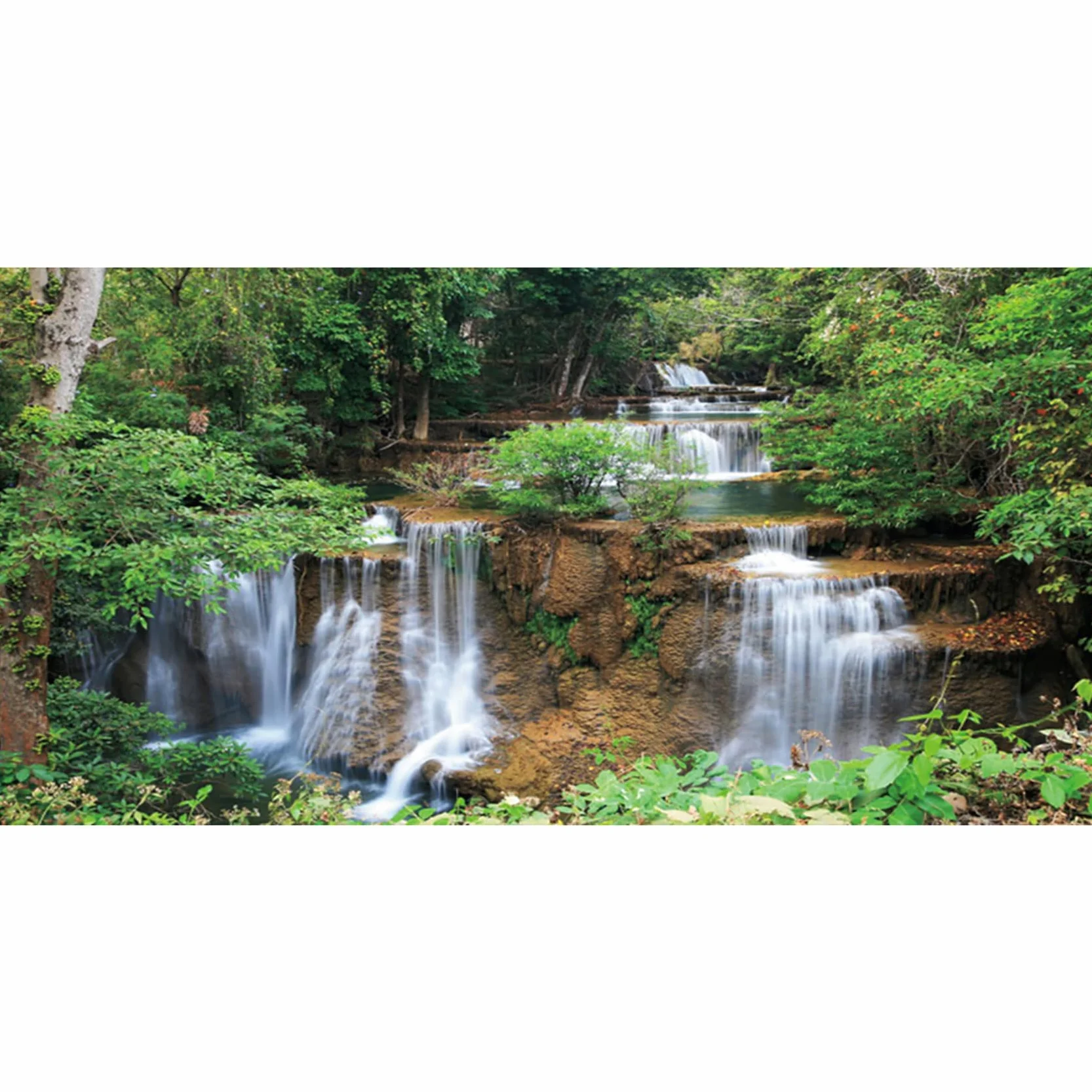 120x46cm Cascata Terrario Sfondo Foresta pluviale Acquario Sfondo Piante Tropicali Albero Verde Rettile Habitat Sfondo Vinile Durevole Sfondo
