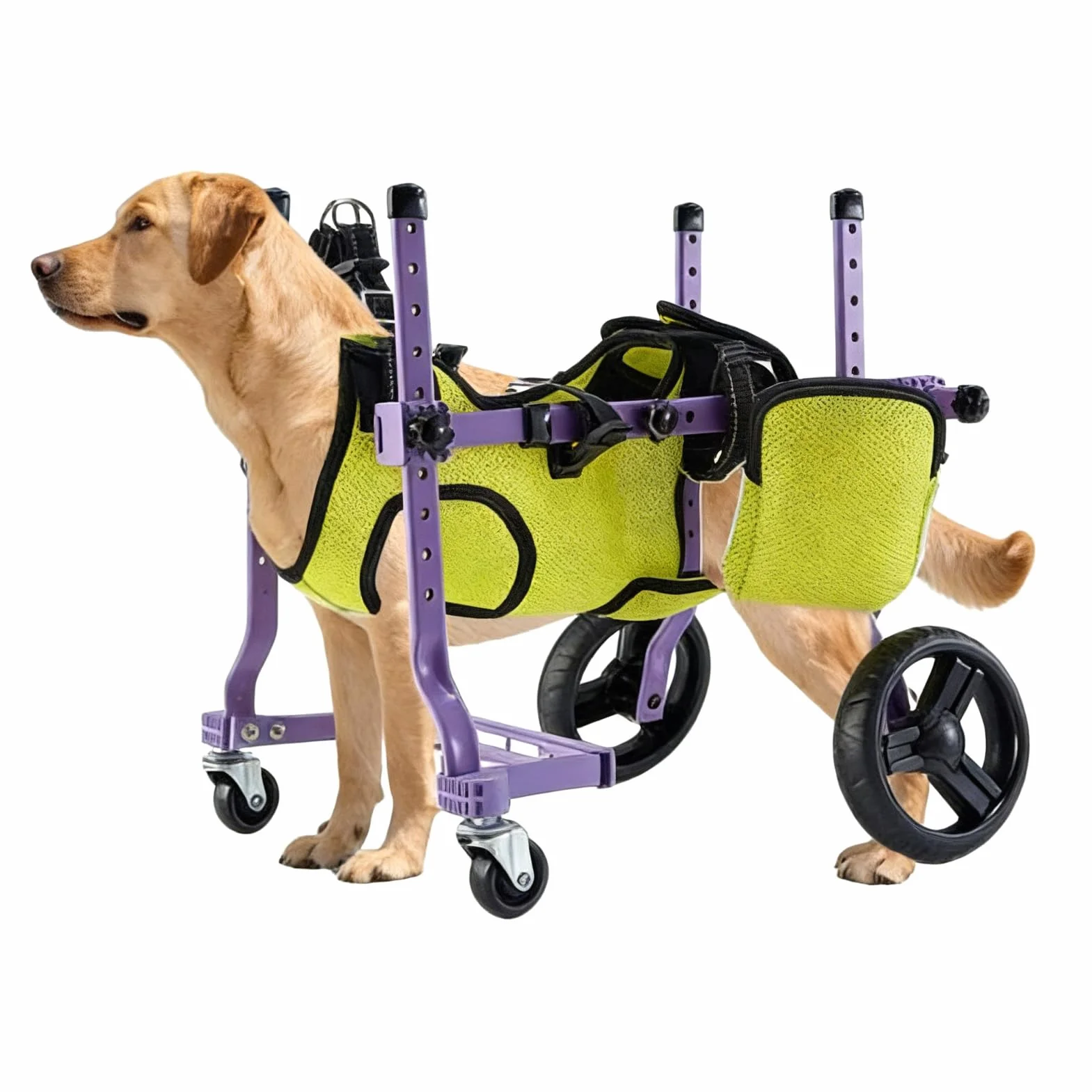 Garsent Sedia a Rotelle per Cani per Gambe Posteriori, Carrello per Sedie a Rotelle del Cane, Carrello Posteriore per Cani a 4 Ruote Integrate per Cani per Esterno e Aiuti di mobilità