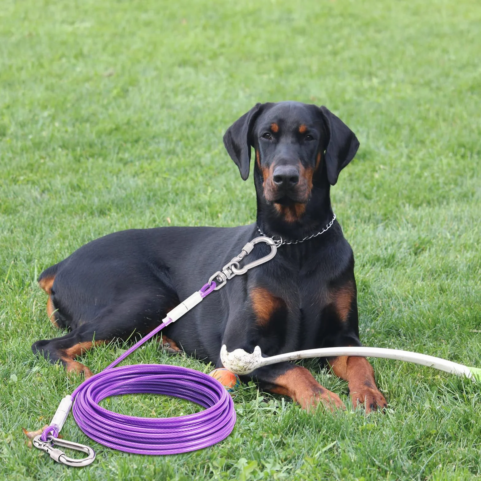 Tie-Out - Guinzaglio per cani, 3/6/9/15 m, per il cortile, 3 m