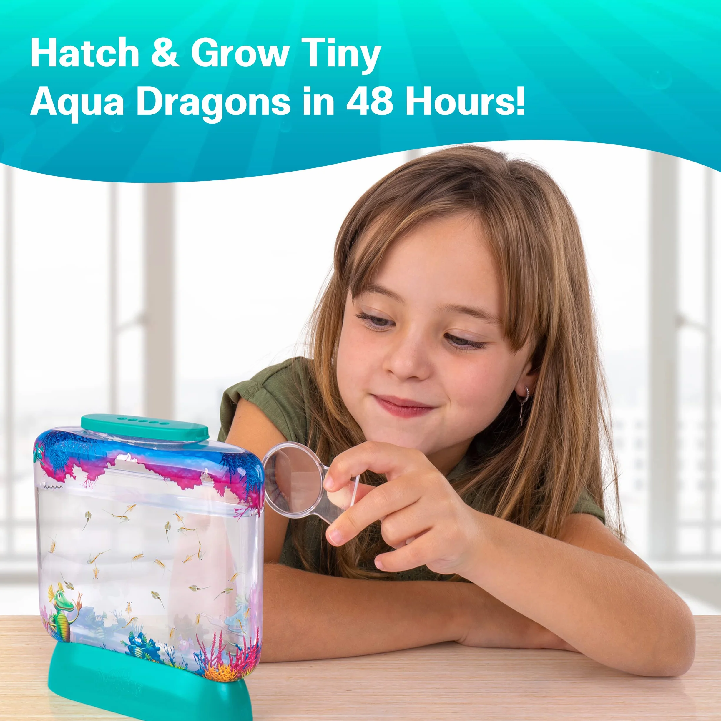 Aqua Dragon Starter Kit Ecclosiona coltiva animali marini