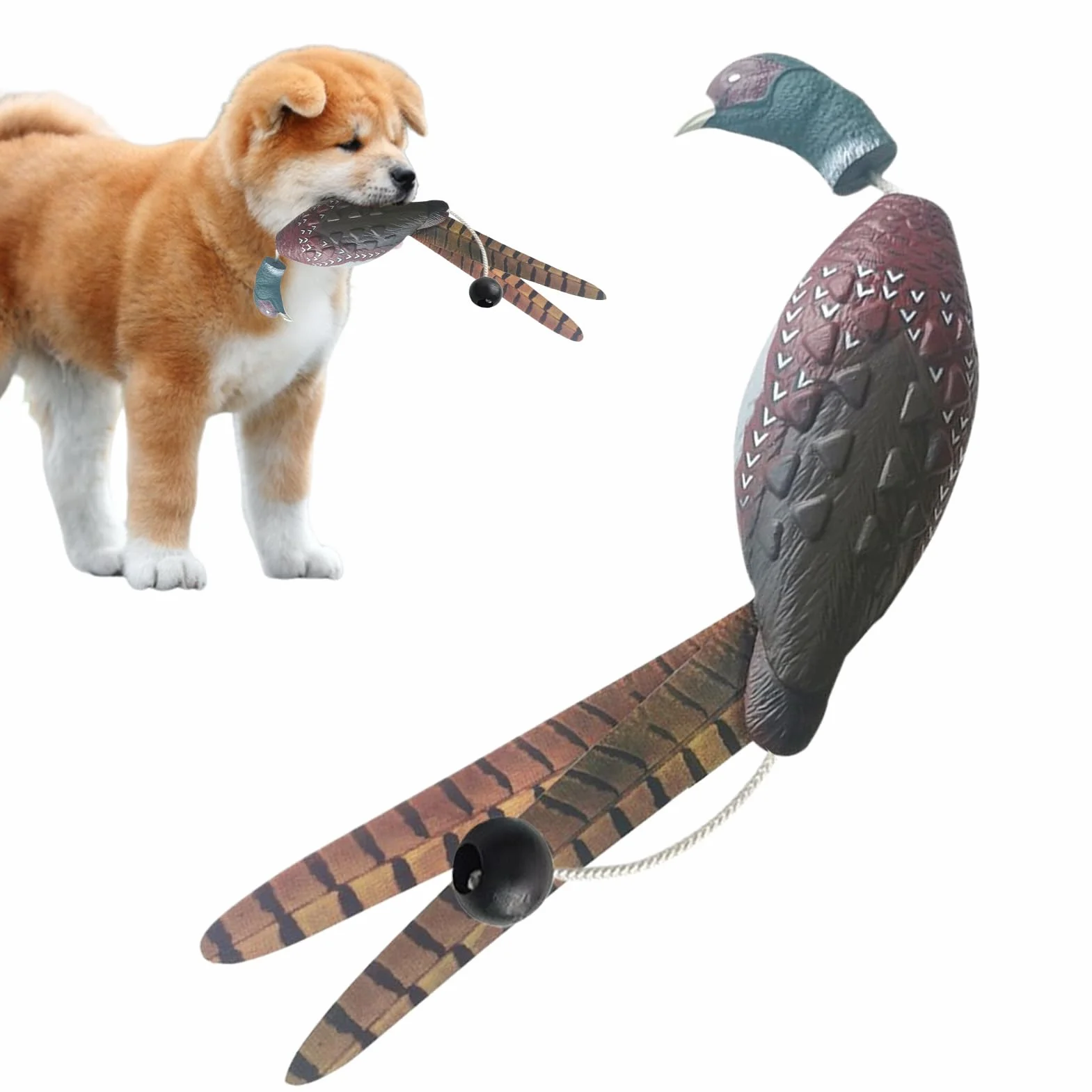 Manichino da Riporto per Cani da Cortile - Simulazione realistica del Fagiano, Robusto, Giocattolo didattico, dimensionalmente Stabile, Pratico, Modellato per l'addestramento de