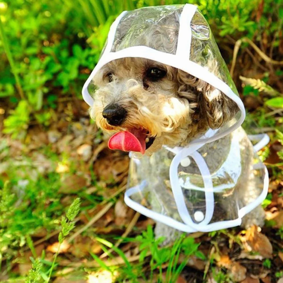 Cappottino catarifrangente per Cani Gatto con cappuccio, Regolabile PVC trasparente poncho impermeabile ultraleggero, Per cani di piccola taglia（bianca, L）