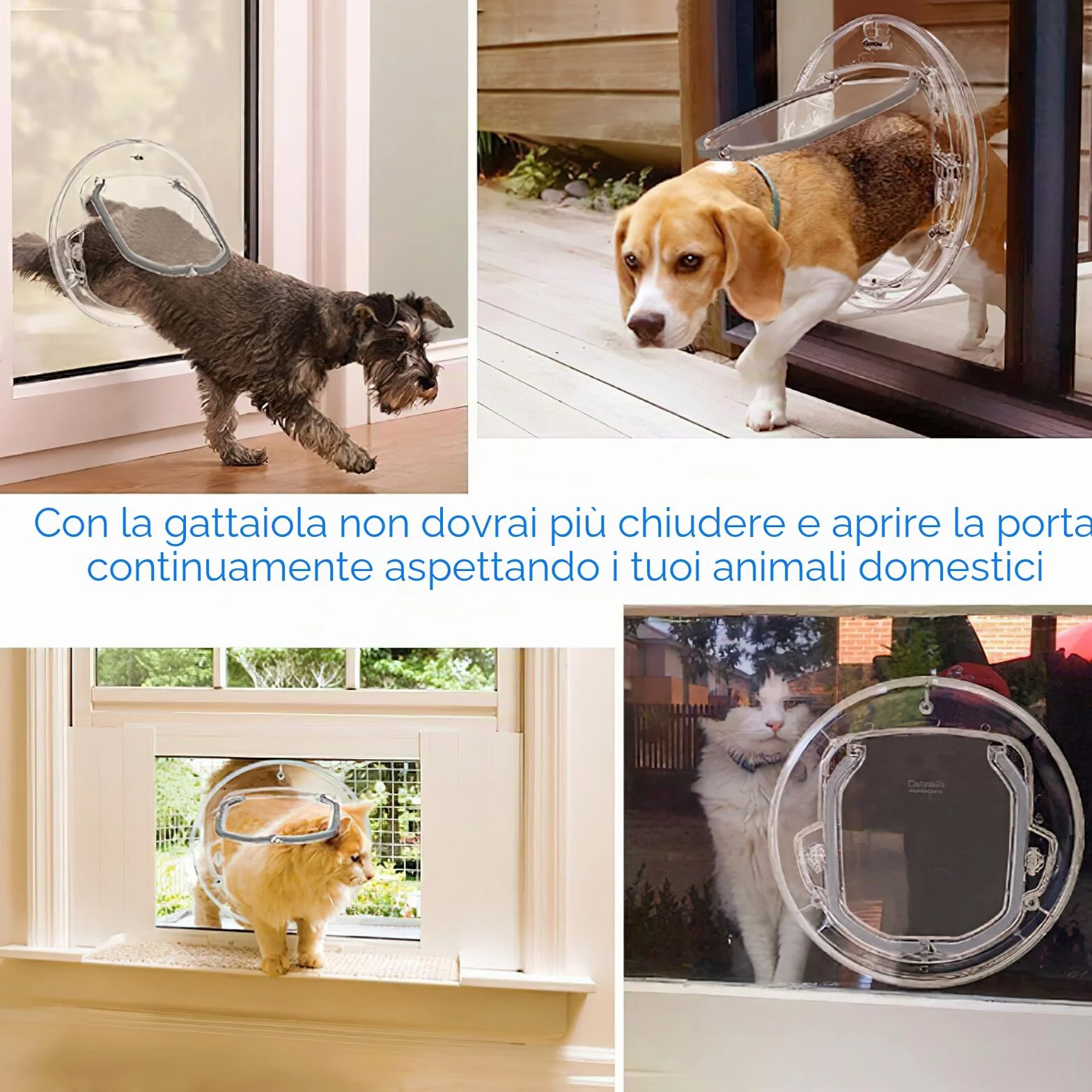 Porta per gatti trasparente a 4 vie con chiusura, cancello rotondo resistente, kit per porte interne ed esterne