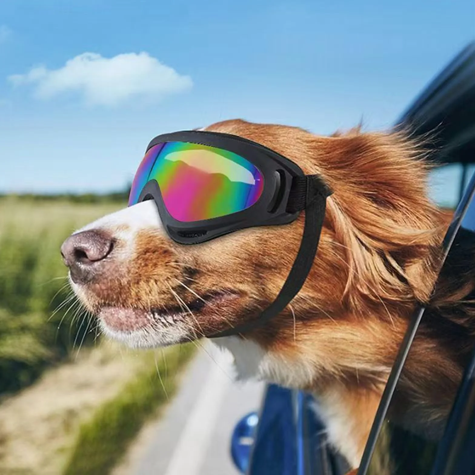 Occhiali per Cani Protezione UV Antivento Occhiali da Sole per Cani Taglia Media Grande Attività all'Aperto 2 Pezzi