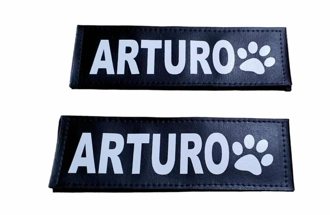 Lacucciadifido Etichette Personalizzate 16 x 5 cm Per Pettorina Cane Julius K9