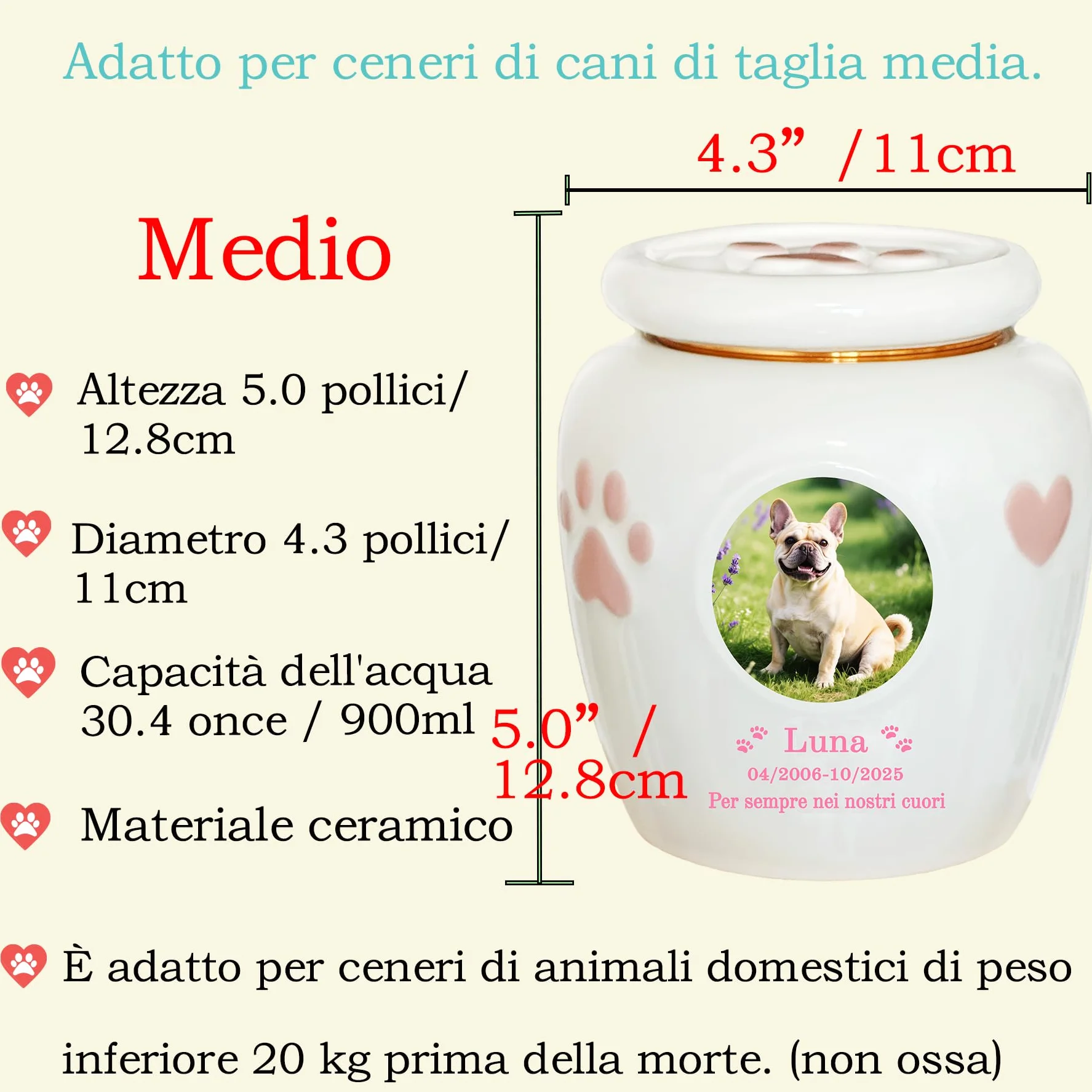 Urna per animali domestici personalizzata in ceramica fatta a mano per gatti e cani ceneri Medio