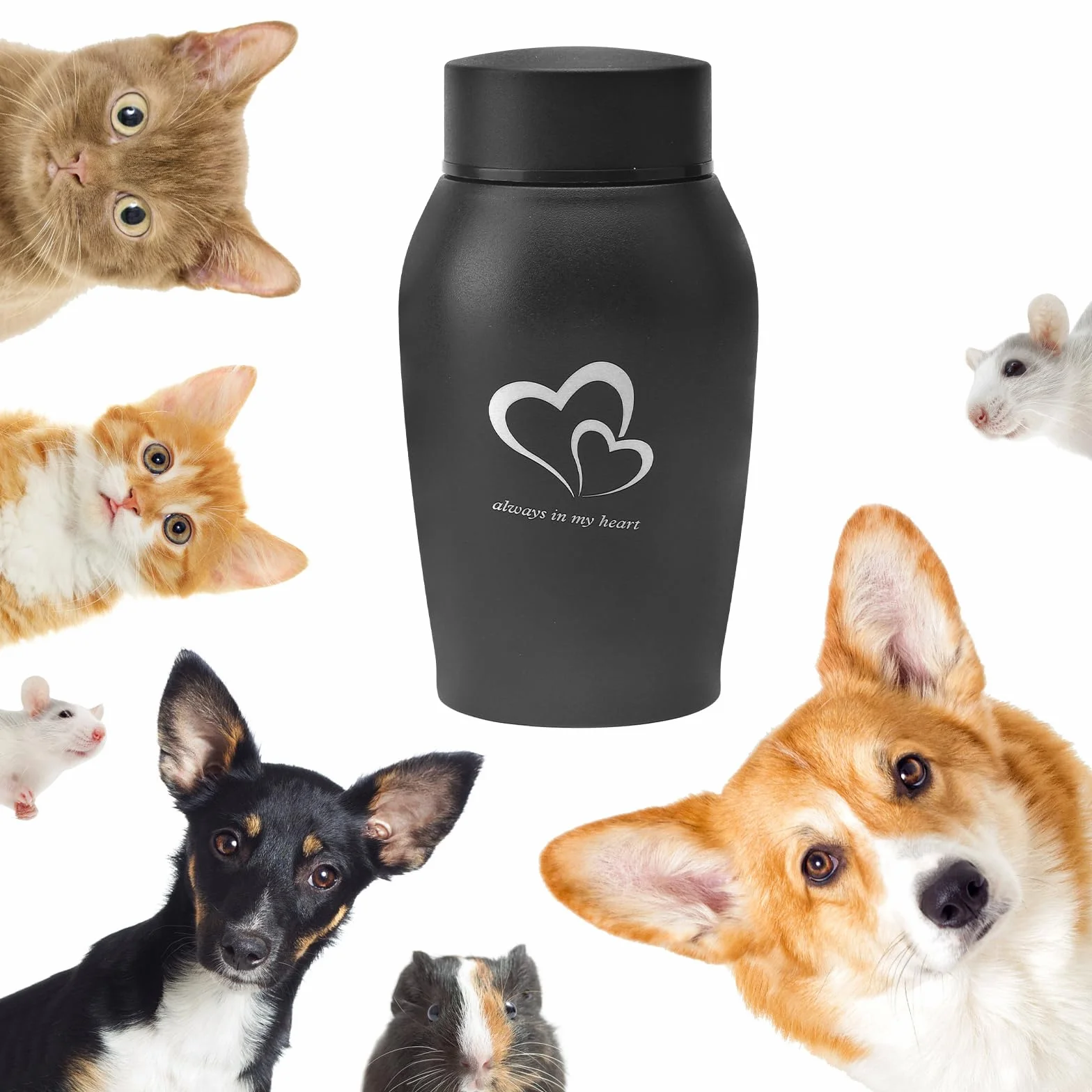 Urna per cani e gatti, urna in acciaio inox con penna