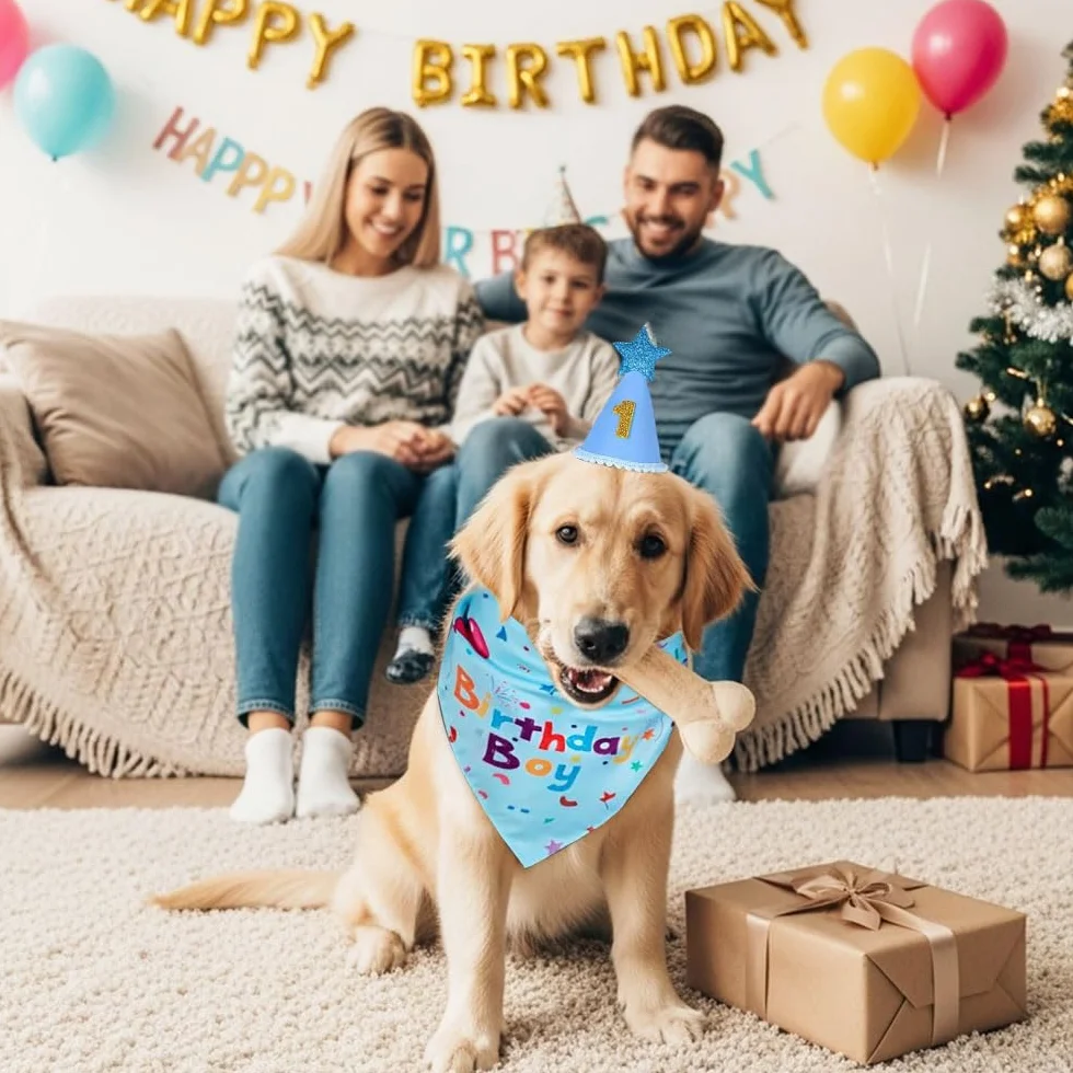 Compleanno Cane Bandana con Cappello Numeri HMCEY Cappellini Festa Animali Domestici Blu