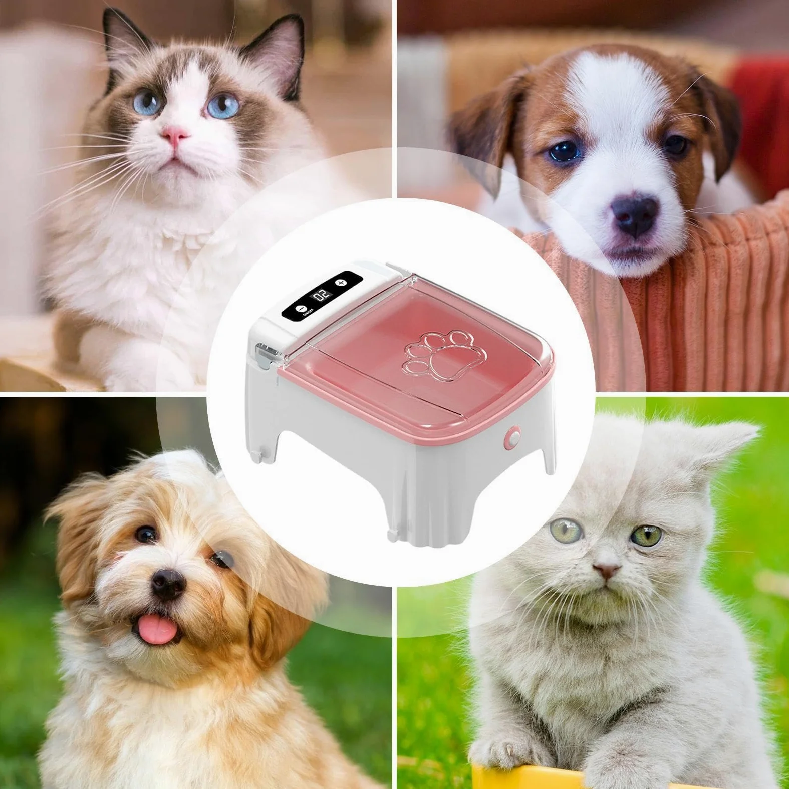 Distributore Automatico Cibo per Felini Elettrica Cibo Secco | Funzionamento Automatico Mangiatoia Elettrica Umido Secco Per Gatti Cuccioli Indoor