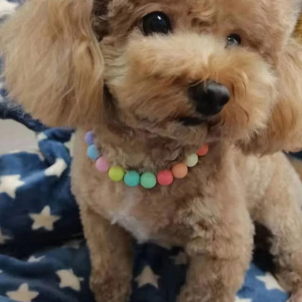 Cane Collare di Perla Carino Teddy Collana Chihuahua York Ragazza Abbigliamento Dress Accessori