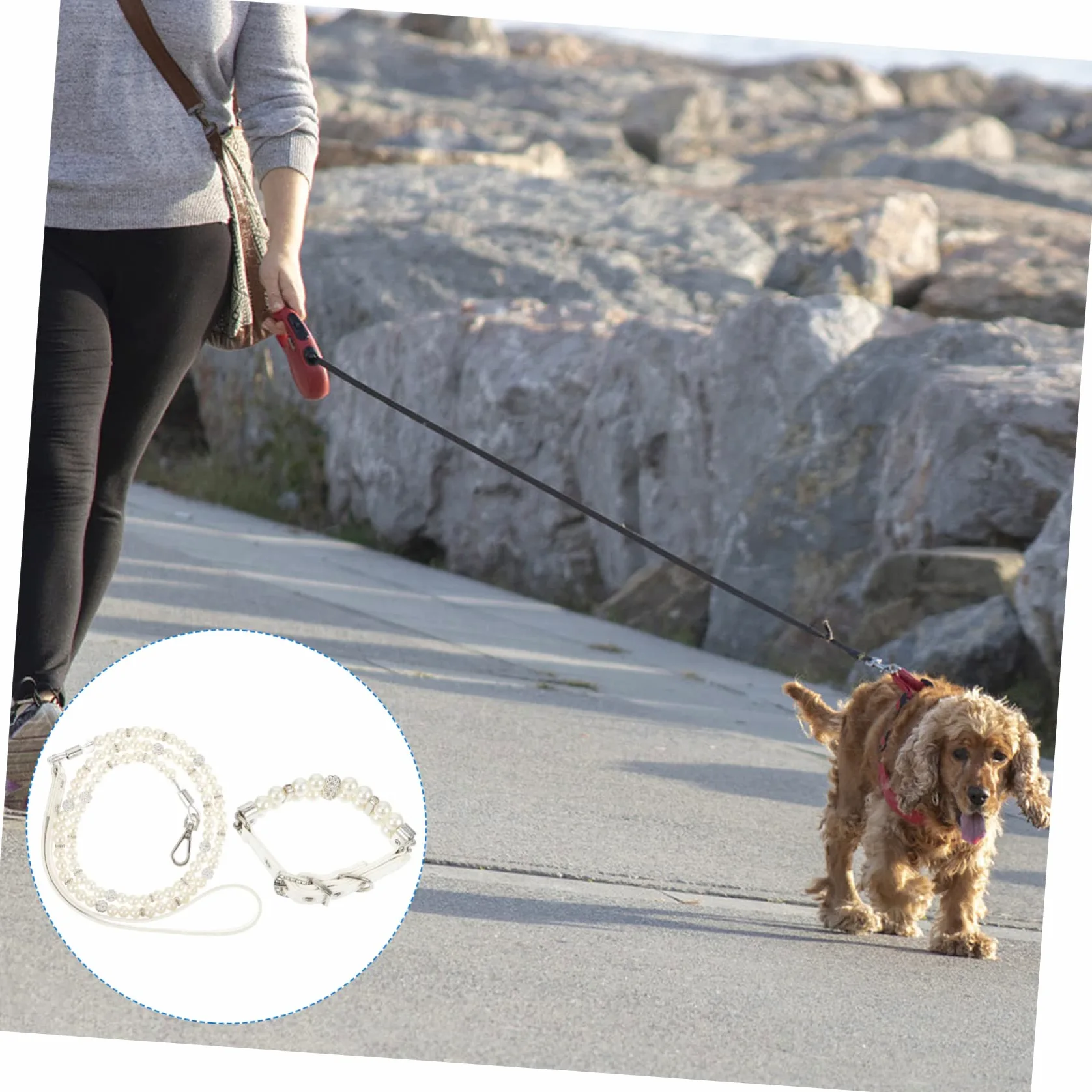 Collare e Guinzaglio Cane Perle Finte Bianco in Pelle PU 2 Pezzi | Regolabile e Staccabile, per Cuccioli e Cani Piccoli, per Addestramento, Feste, Matrimoni e Foto, Bianco