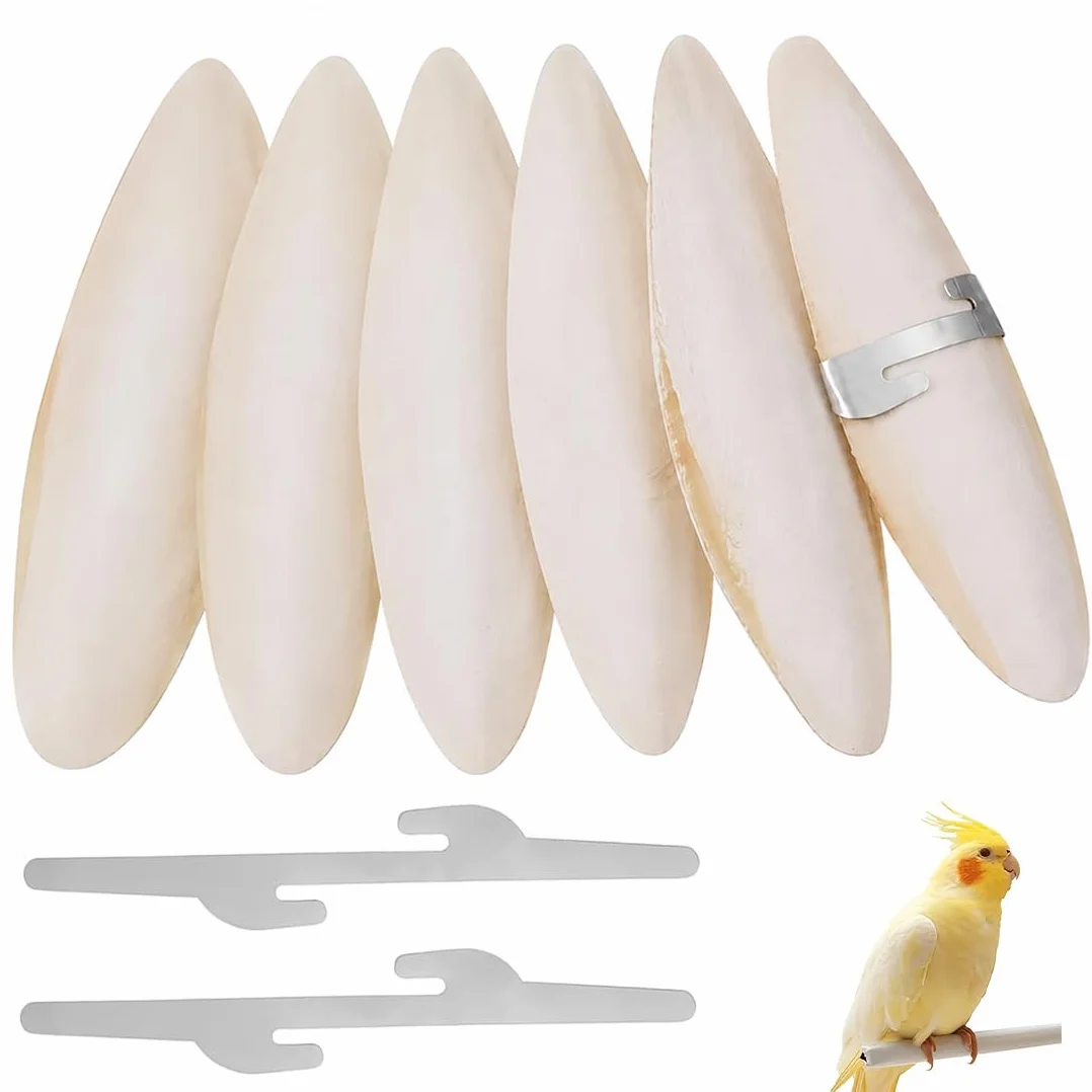 KYLOS Osso Di Seppia Per Pappagalli 6 Pezzi + 2 Supporti Metallo 7-9Cm Giallo Masticabile