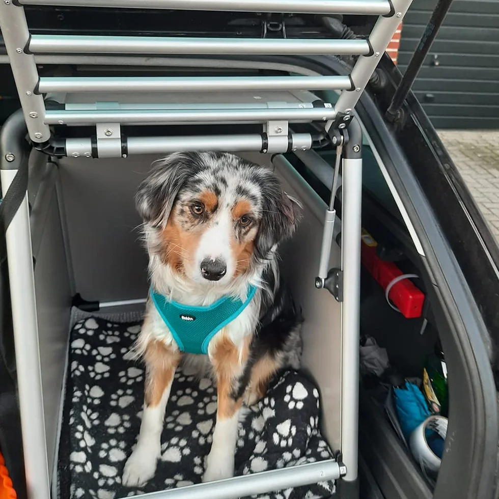 Nobby Aluminium Carbox Round Corner B x T x H: 59 x 55 x 49 cm