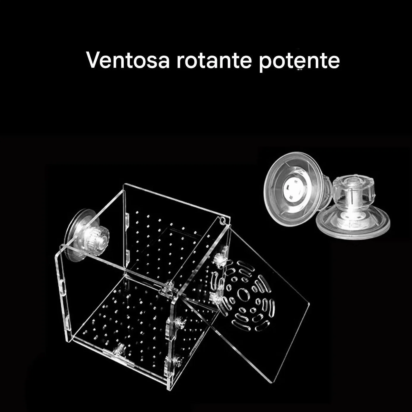 Scatola Isolamento per Vasca Pesci - Vasca Per Acquario In Acrilico Trasparente - Container Stabile per Allevamento di Gamberetti Guppy Pesci Angelo Adattamento e Schiusa