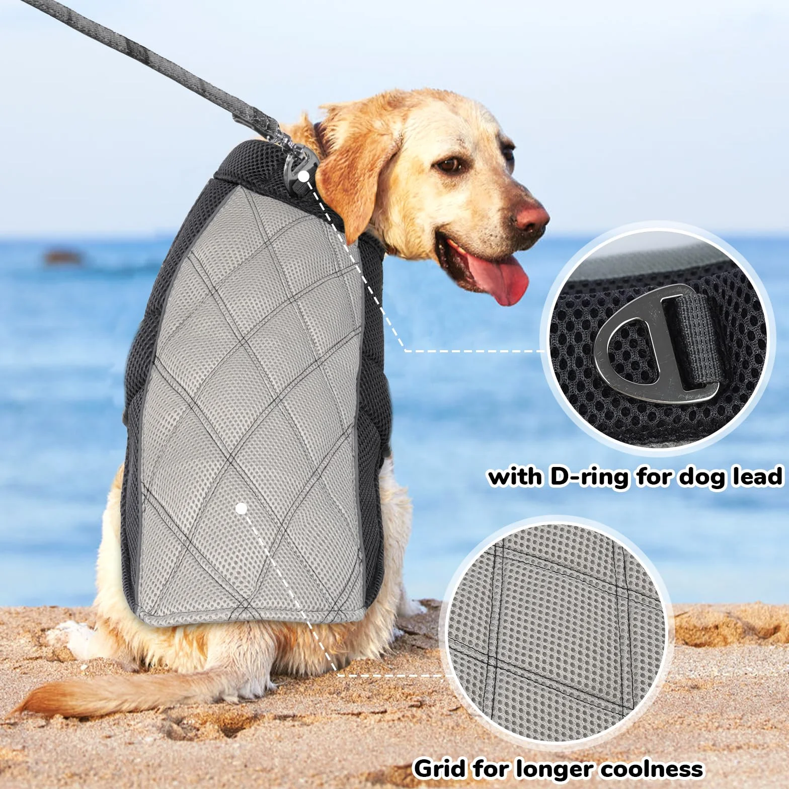 Giubbotto Refrigerante Cane Traspirante Gilet Rinfrescante con Pettorina Grigio Antracite M