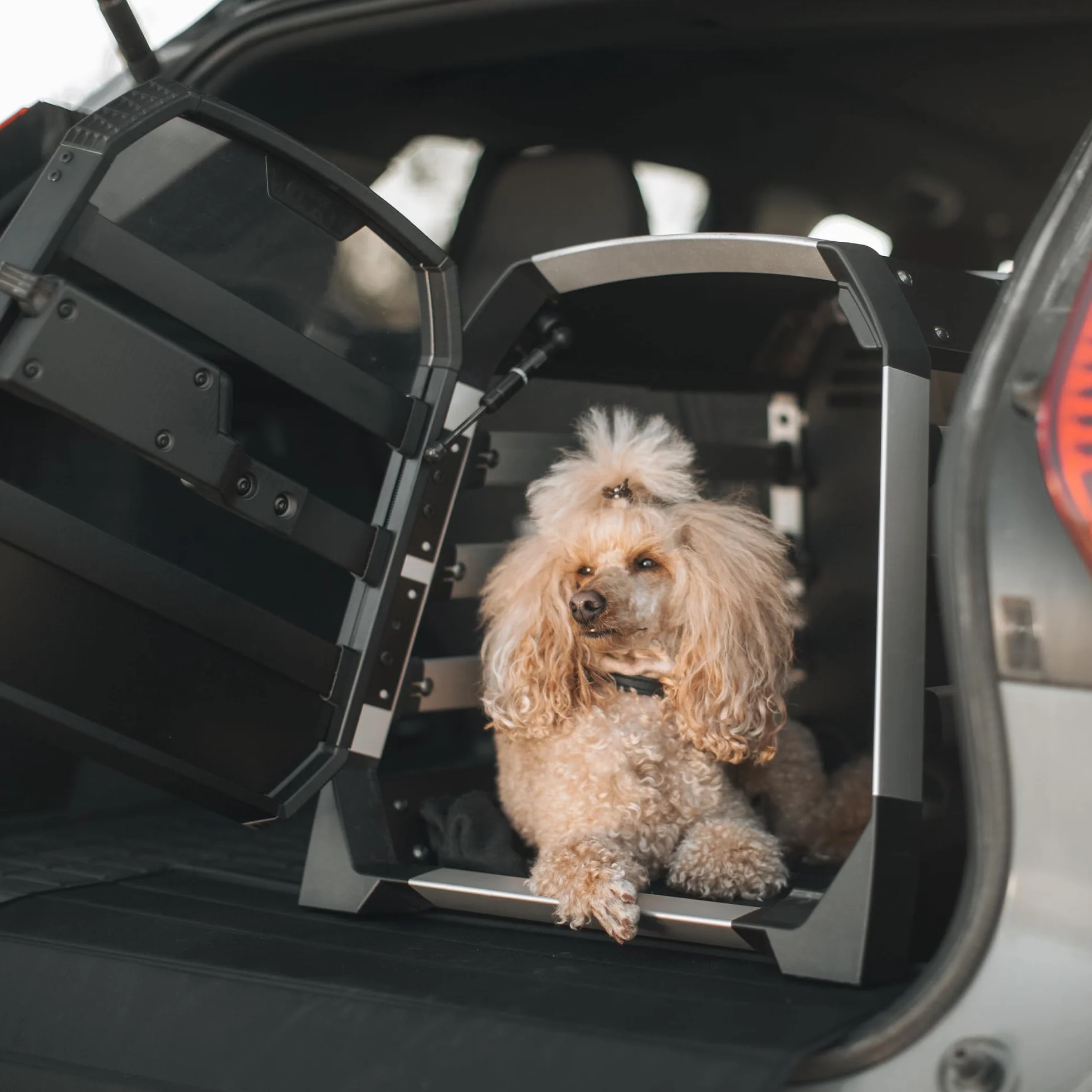 Thule Allax Cani Trasportino Black/aluminum, XL