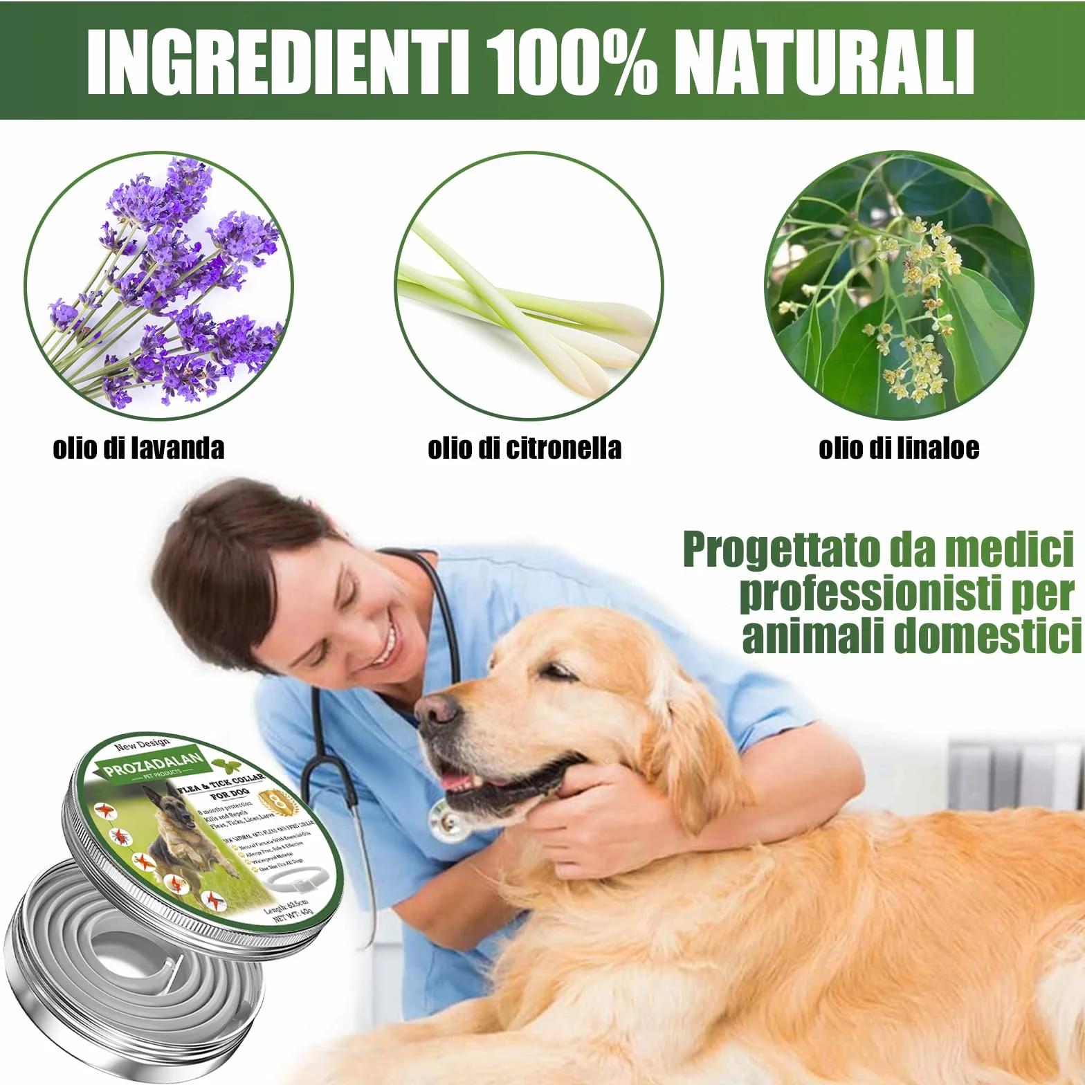 Collare Antipulci e Zecche Regolabile Impermeabile 63cm per Cani 8 Mesi Protezione