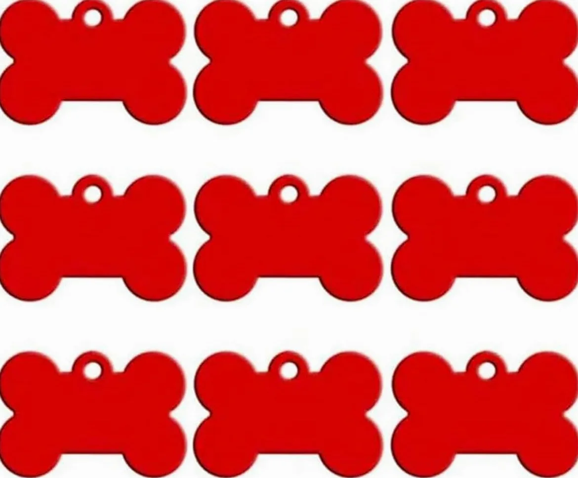 100 pezzi Targhetta per animali domestici in alluminio vuota Targhetta per animali domestici personalizzata Targhetta identificativa per cani con osso Targhetta identificativa per cani con gatto Targ