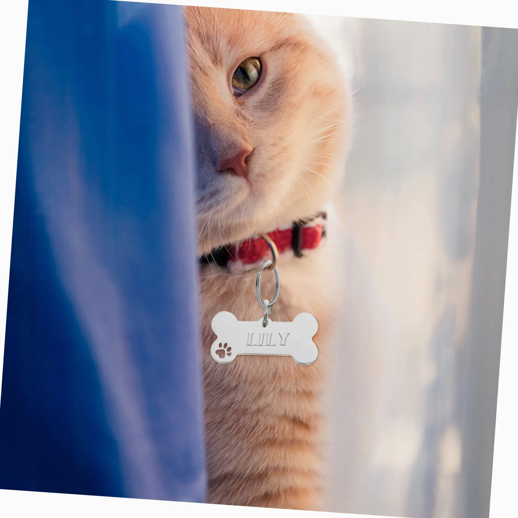 SUPVOX 20pezzi Medagliette Identificative Acciaio Inossidabile Per Animali Domestici Targhette Forma Di Osso Per Cuccioli Accessori Antismarrimento Incisi Design Elegante e Durevole Per