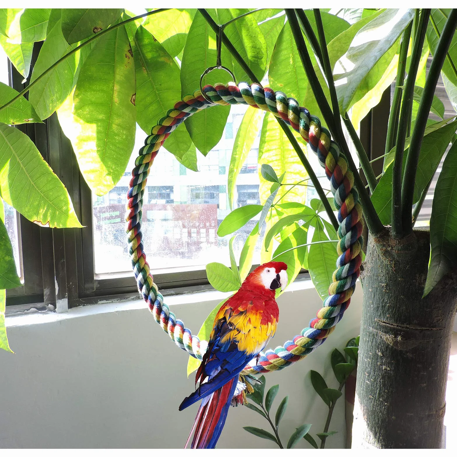 Andiker Altalena per Uccelli, Giocattolo da Appendere in Gabbia con Corda di Cotone, Resistenza al Morso, per Pappagallo Calopsitte Pappagallini (25cm)
