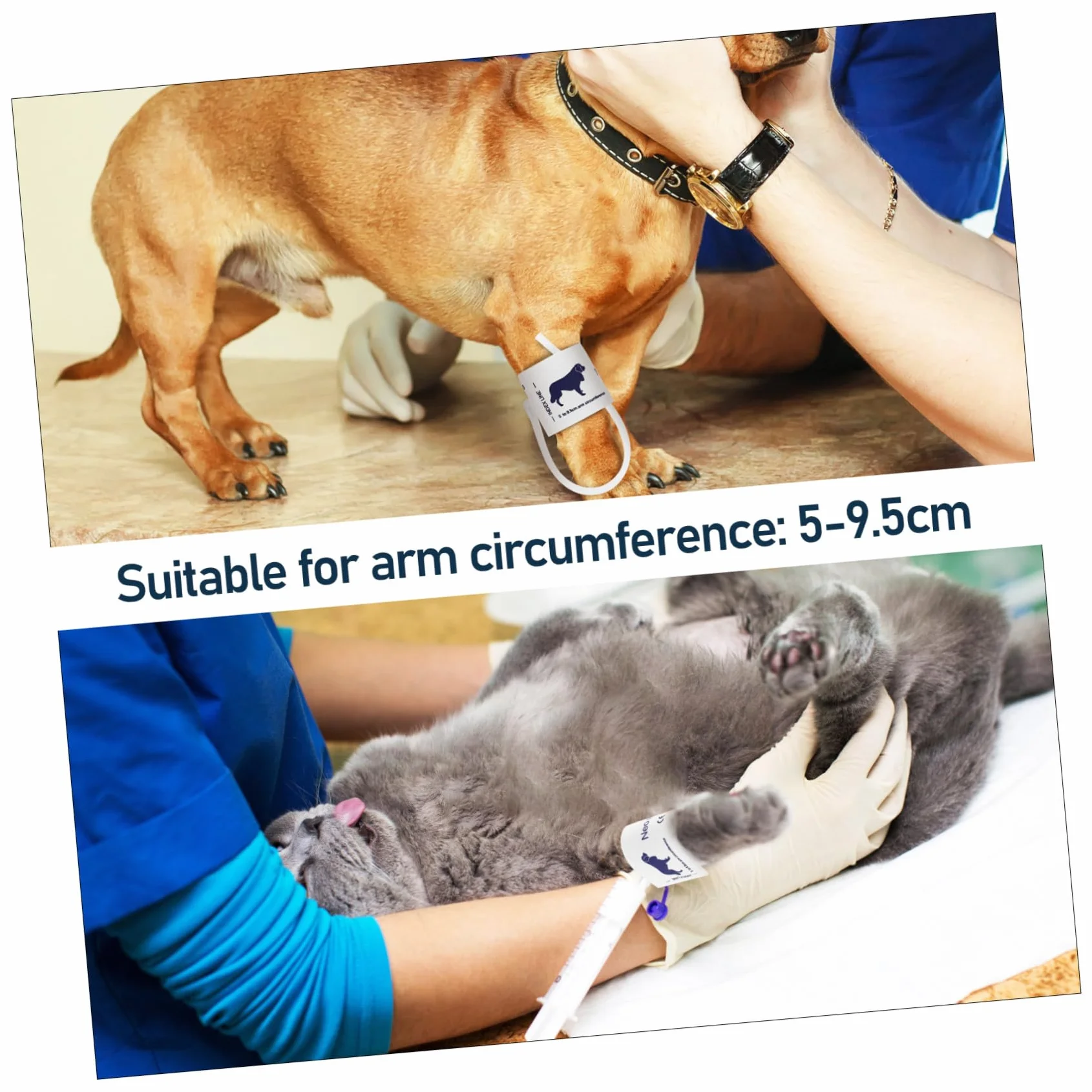 Bracciale per Misuratore di Pressione Non Tessuto per Animali Gatti Circonferenza Braccio 5-9,5cm Uso Veterinario