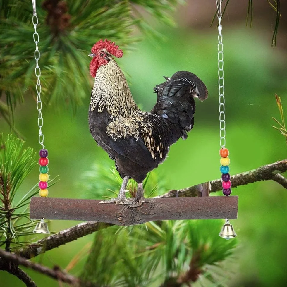 Altalena di Pollo Giocattoli Mordaci con Blocchi di Legno e Campana per Pappagalli Medi e Grandi