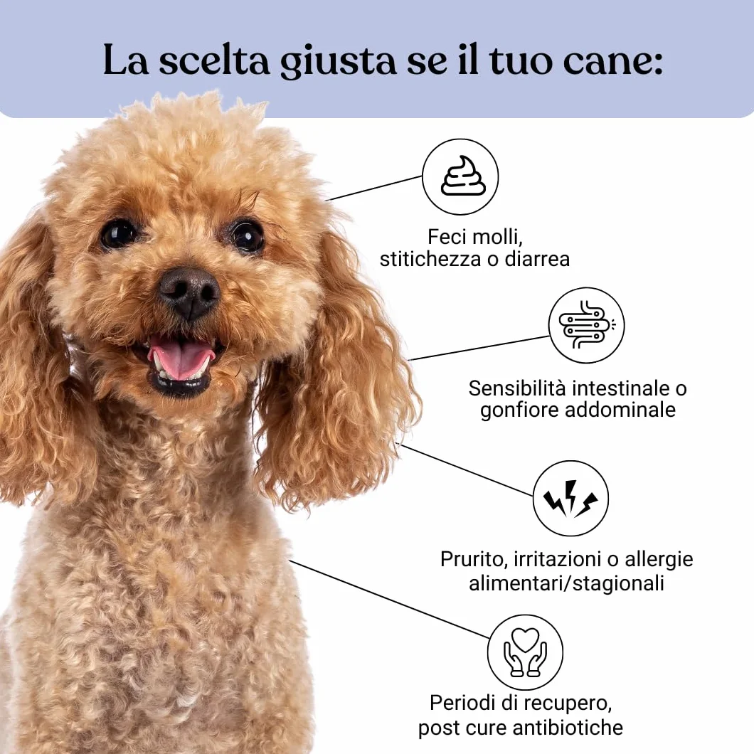 Bau Probiotici per Cani, Fermenti Lattici Cane, Supporto Gastrointestinale Cane, Probiotico Digestivo per Cani Prurito, Integratore Diarrea Cane con Ingredienti Naturali, Probiotico Cane -60cps