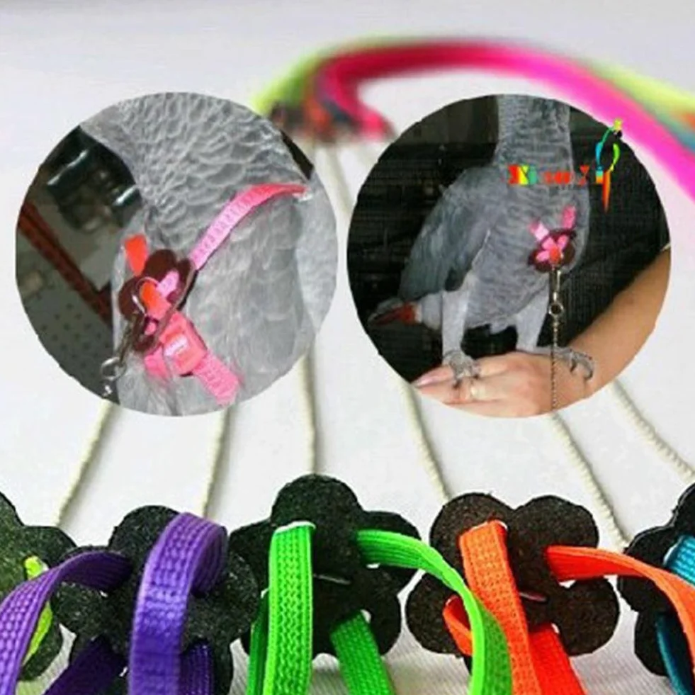 Uccelli Pettorina e Guinzaglio Regolabile Anti-Morso Multicolore